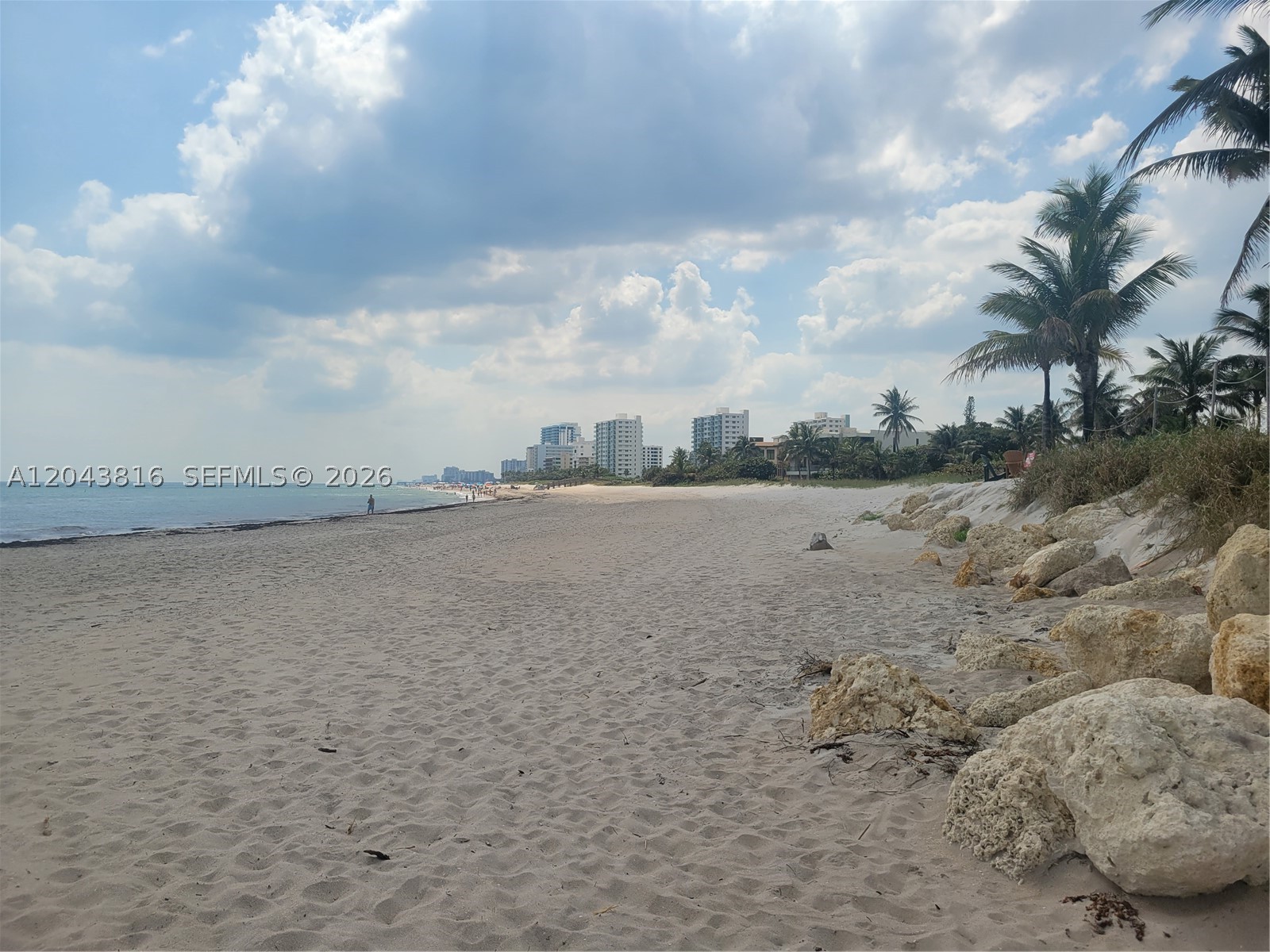 2639 N Riverside Dr #206 Pompano Beach, FL 33062