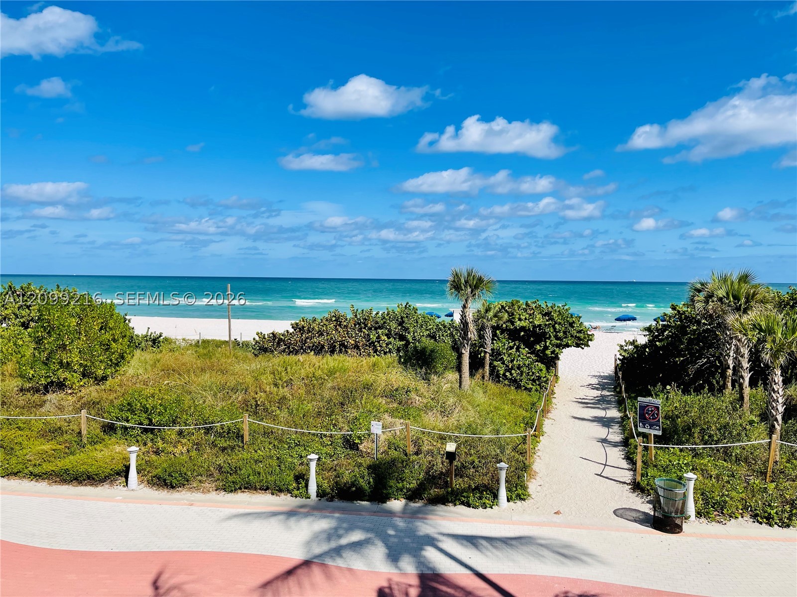 5555 Collins Ave #14Y