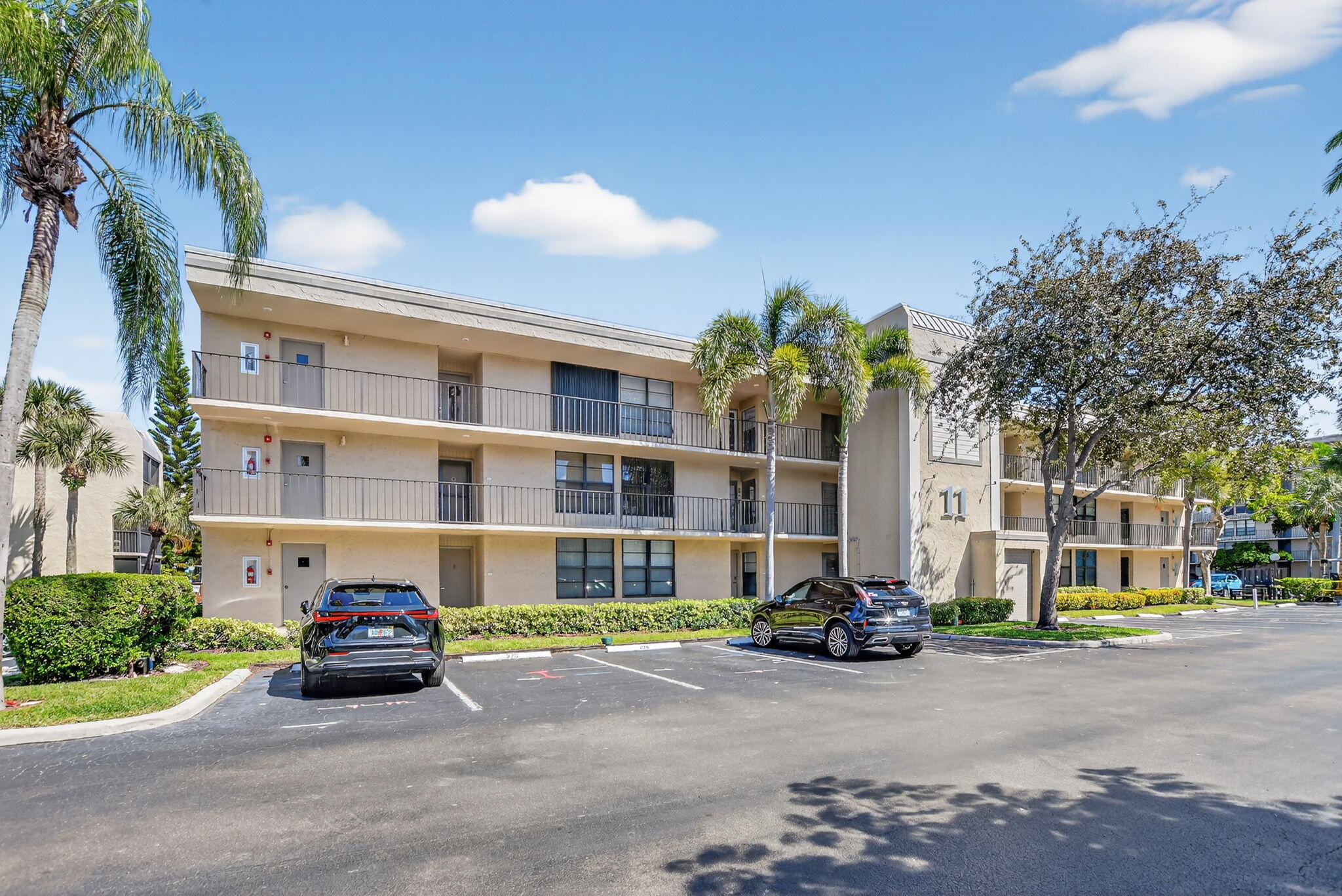 11 Royal Palm #3040