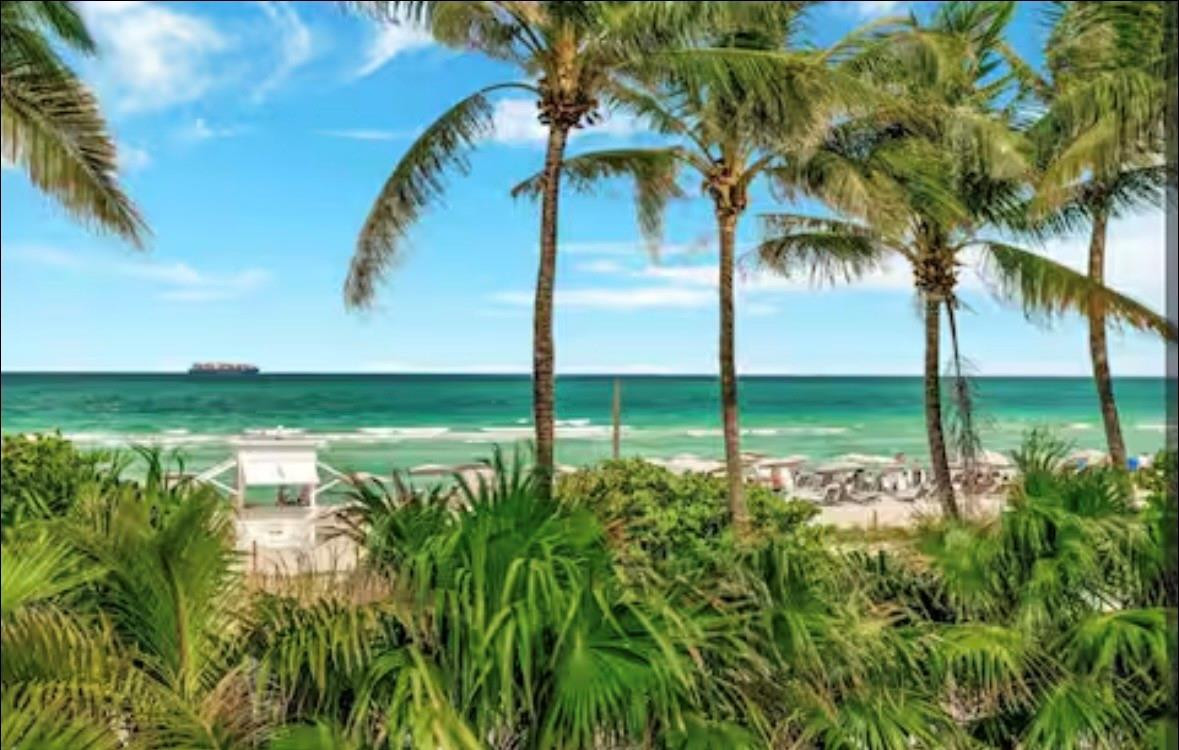 image Fontainebleau III22