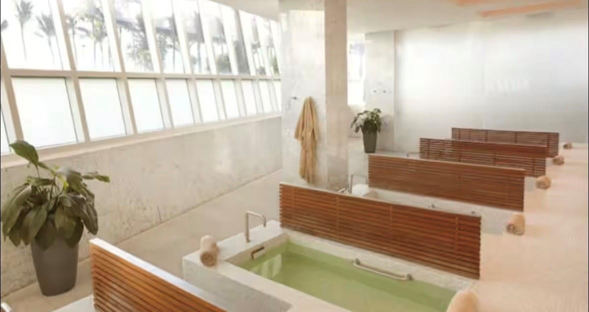 image Fontainebleau III26