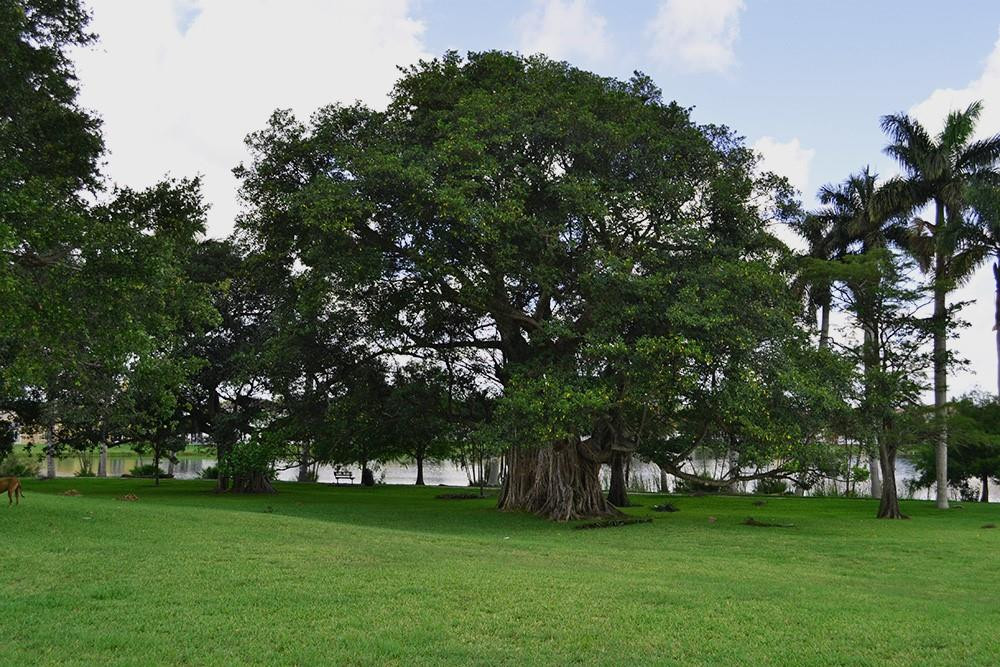 3775 SW 50th Fort Lauderdale, FL 33312