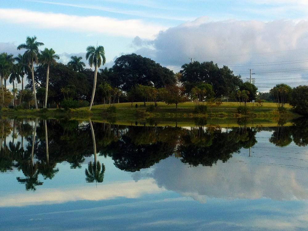 3775 SW 50th Fort Lauderdale, FL 33312