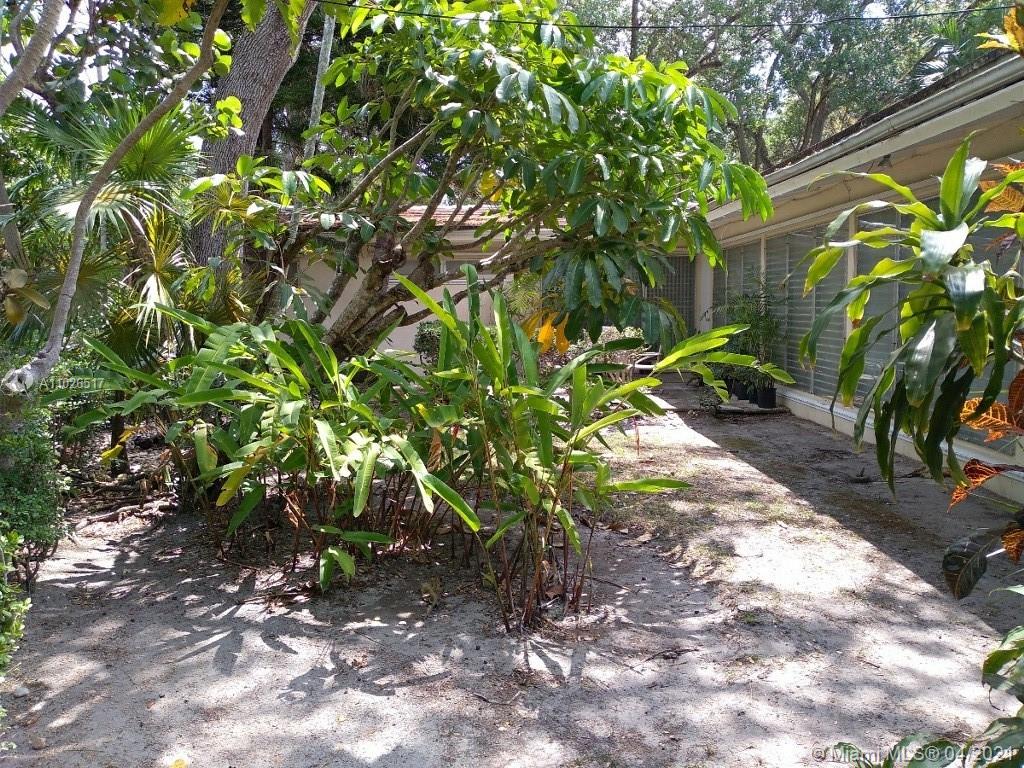 1215 Alfonso Ave Coral Gables, FL 33146