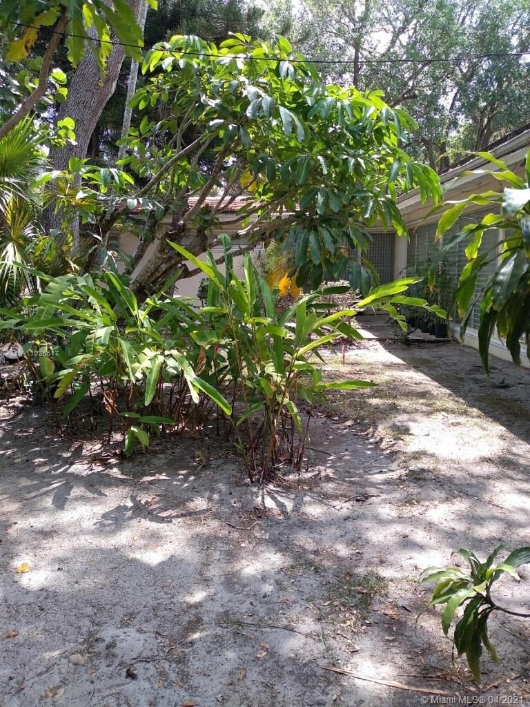 1215 Alfonso Ave Coral Gables, FL 33146