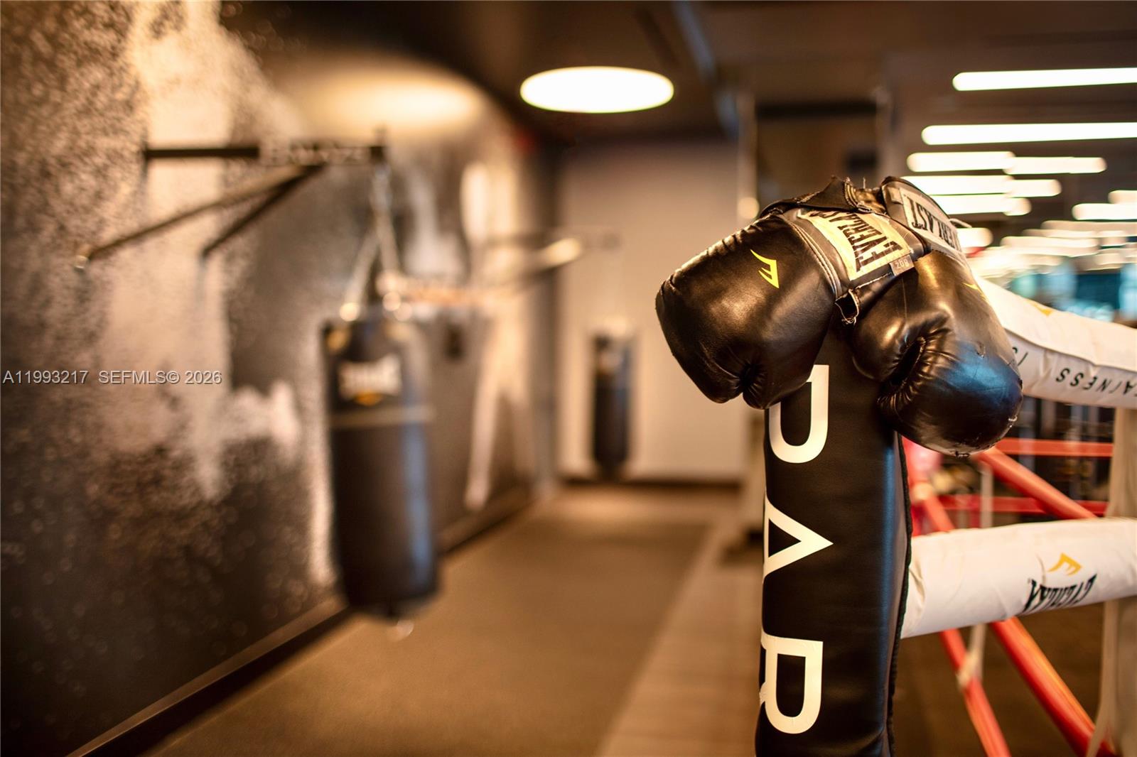 851 NE 1st Ave #205 Miami, FL 33132