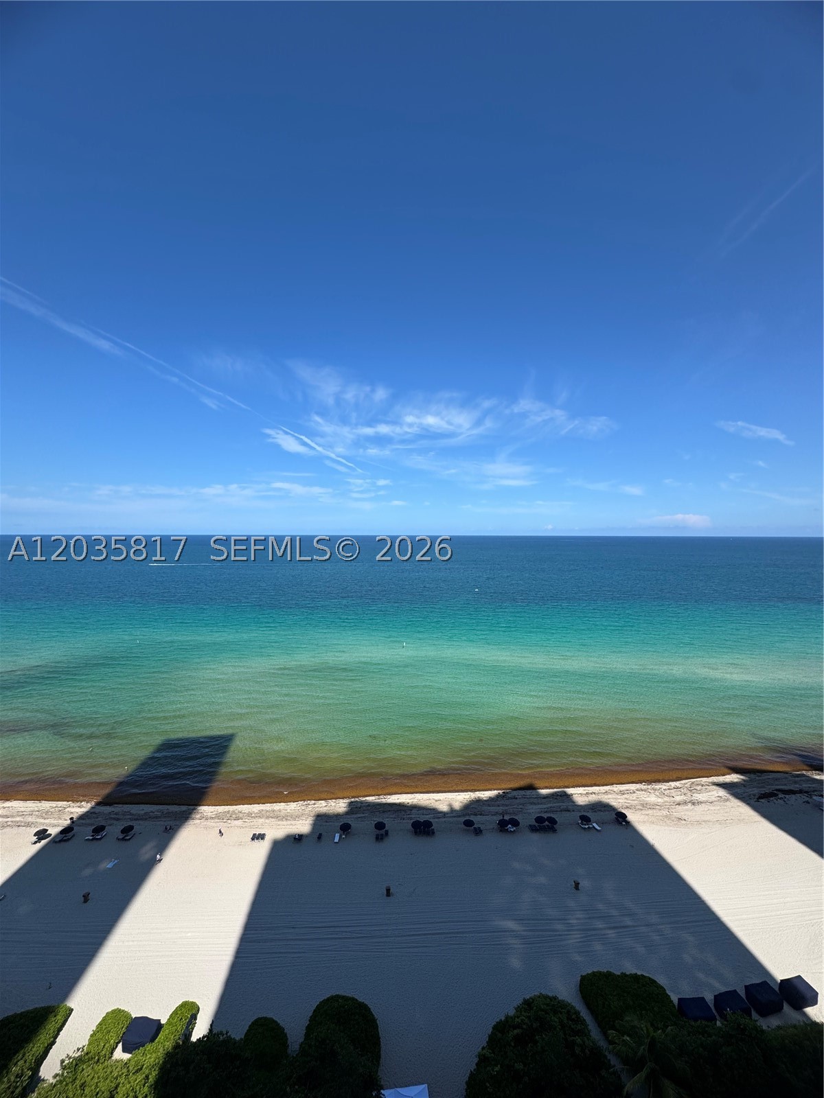image Jade Ocean13