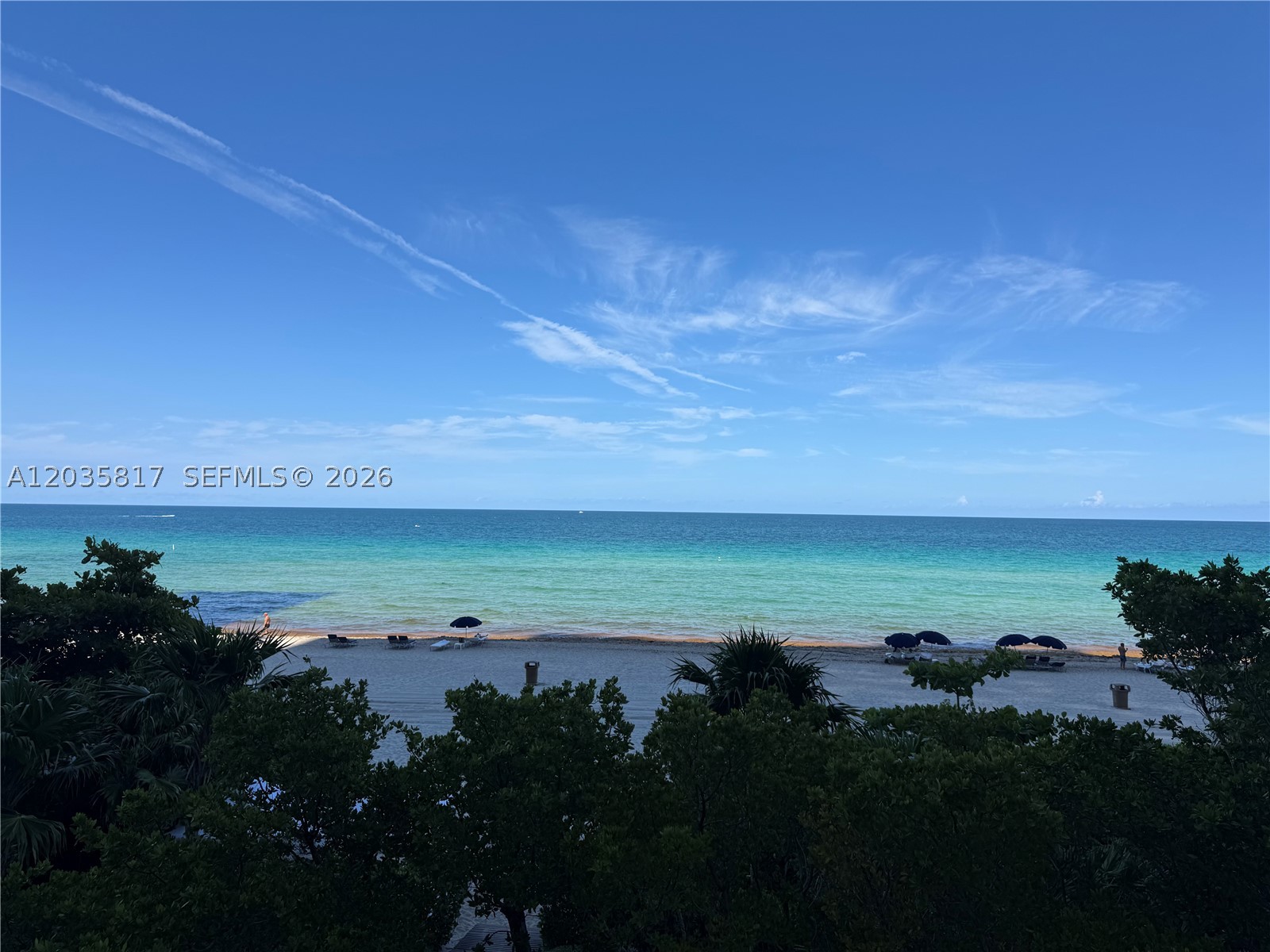 image Jade Ocean23