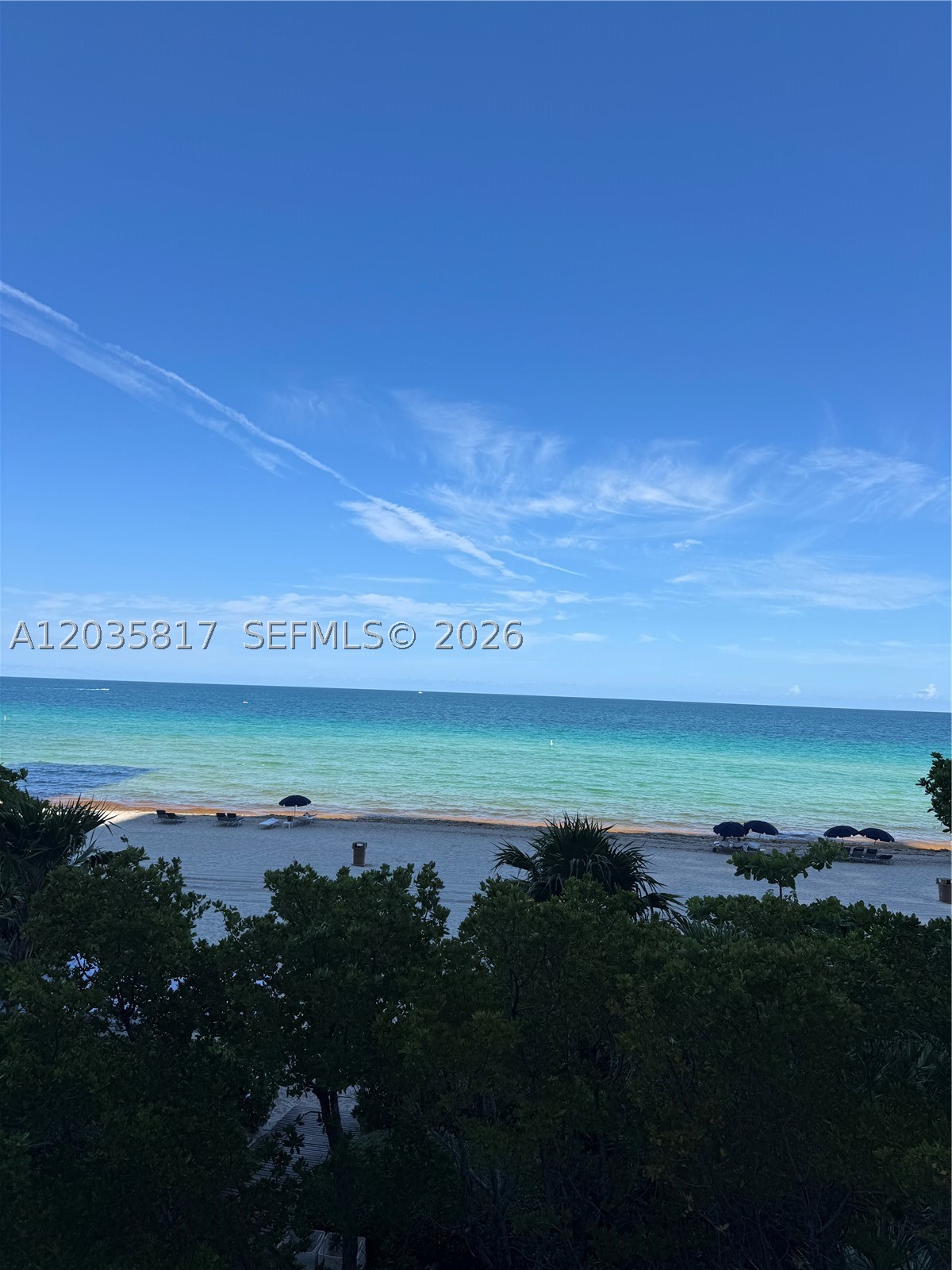 image Jade Ocean24