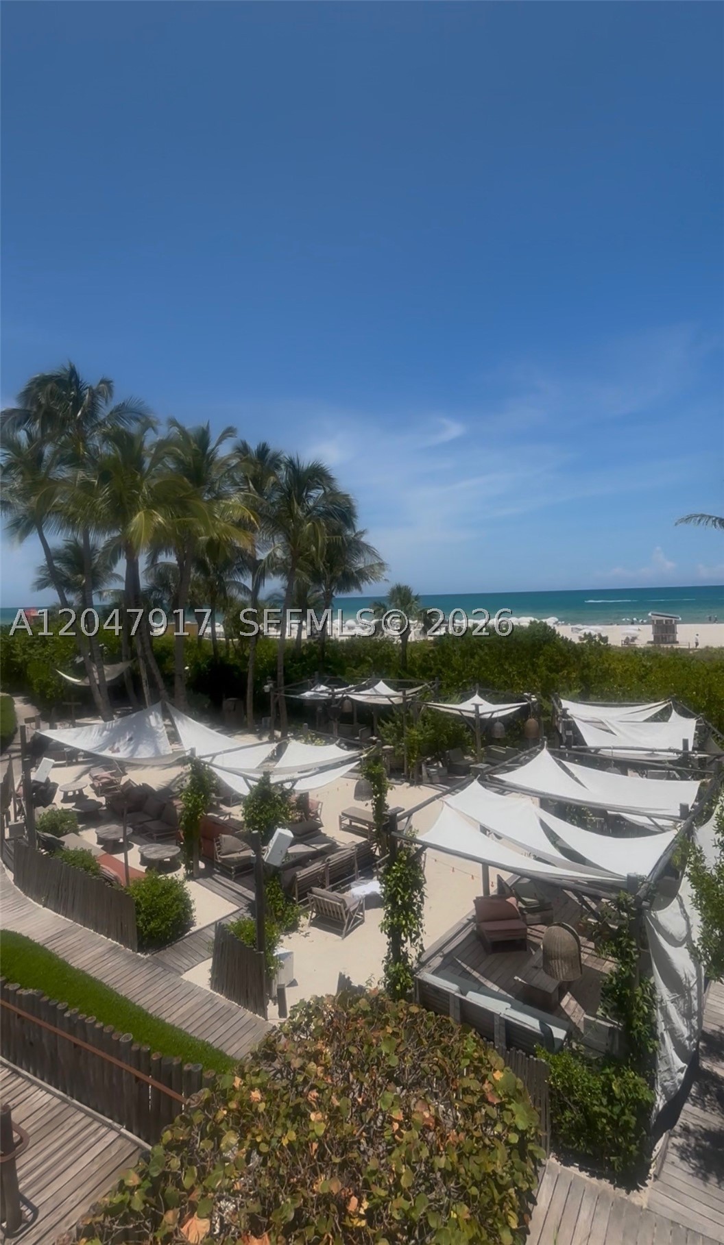 image Roney Palace20