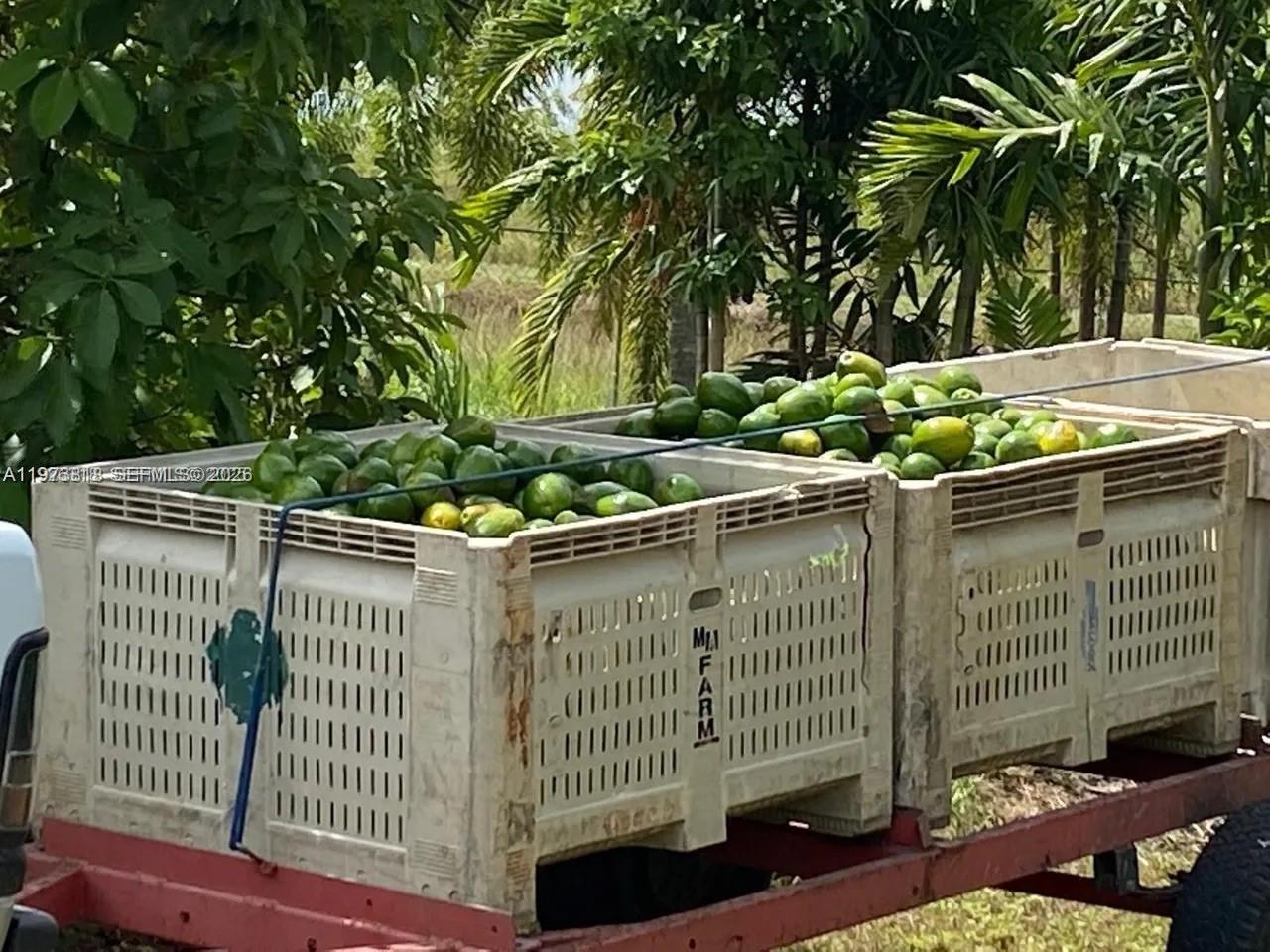 20401 SW 184th St Miami, FL 33187