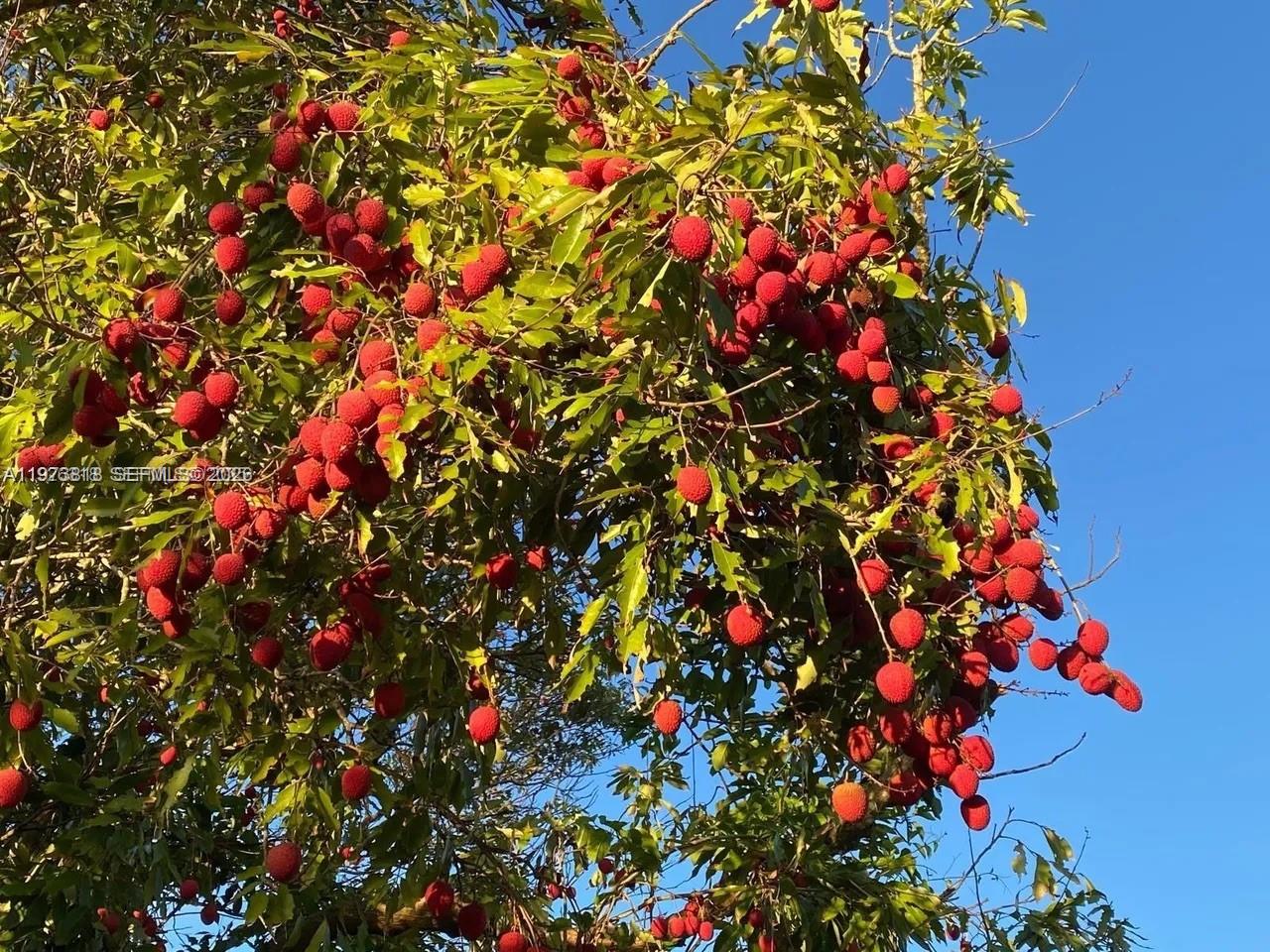 20401 SW 184th St Miami, FL 33187