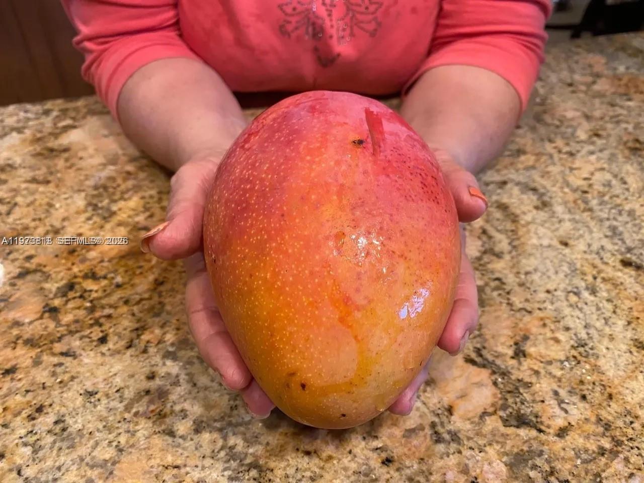 20401 SW 184th St Miami, FL 33187