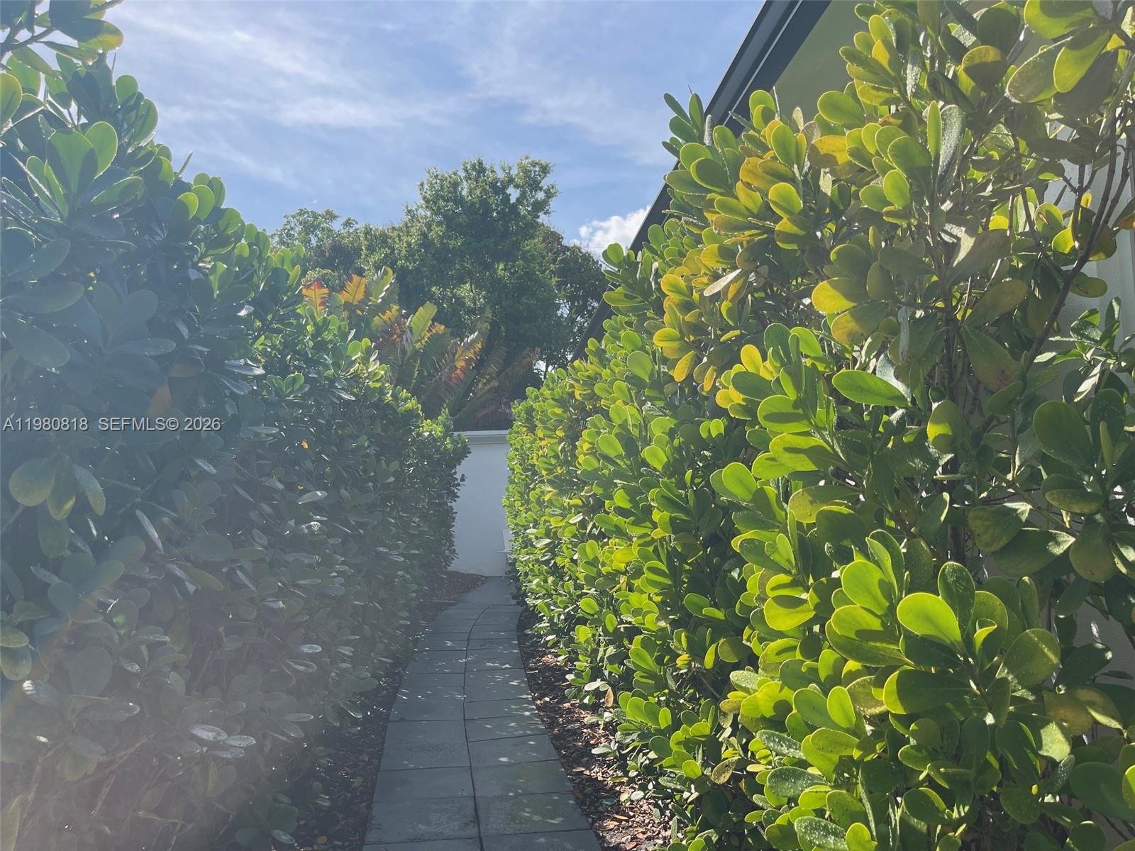 305 NE 15th Ave #REAR Fort Lauderdale, FL 33301