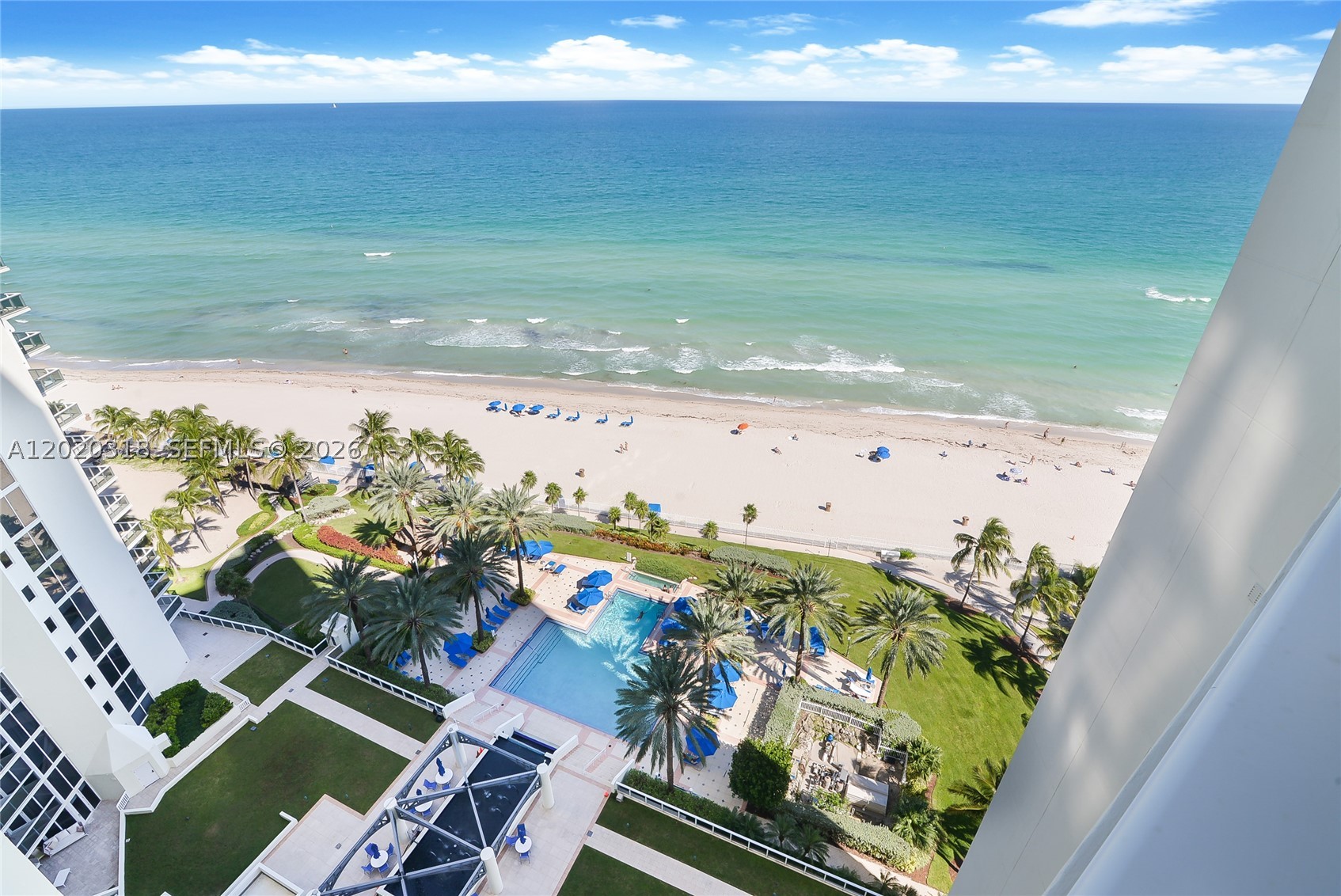 image Ocean One27