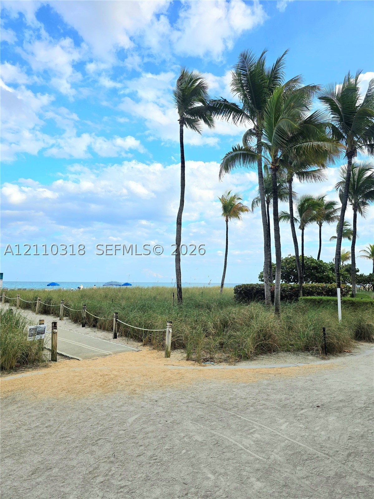 image Tiffany of Bal Harbour10