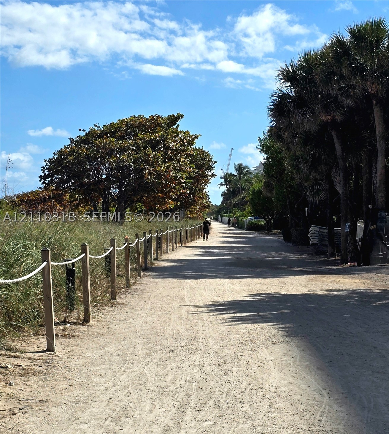 image Tiffany of Bal Harbour11