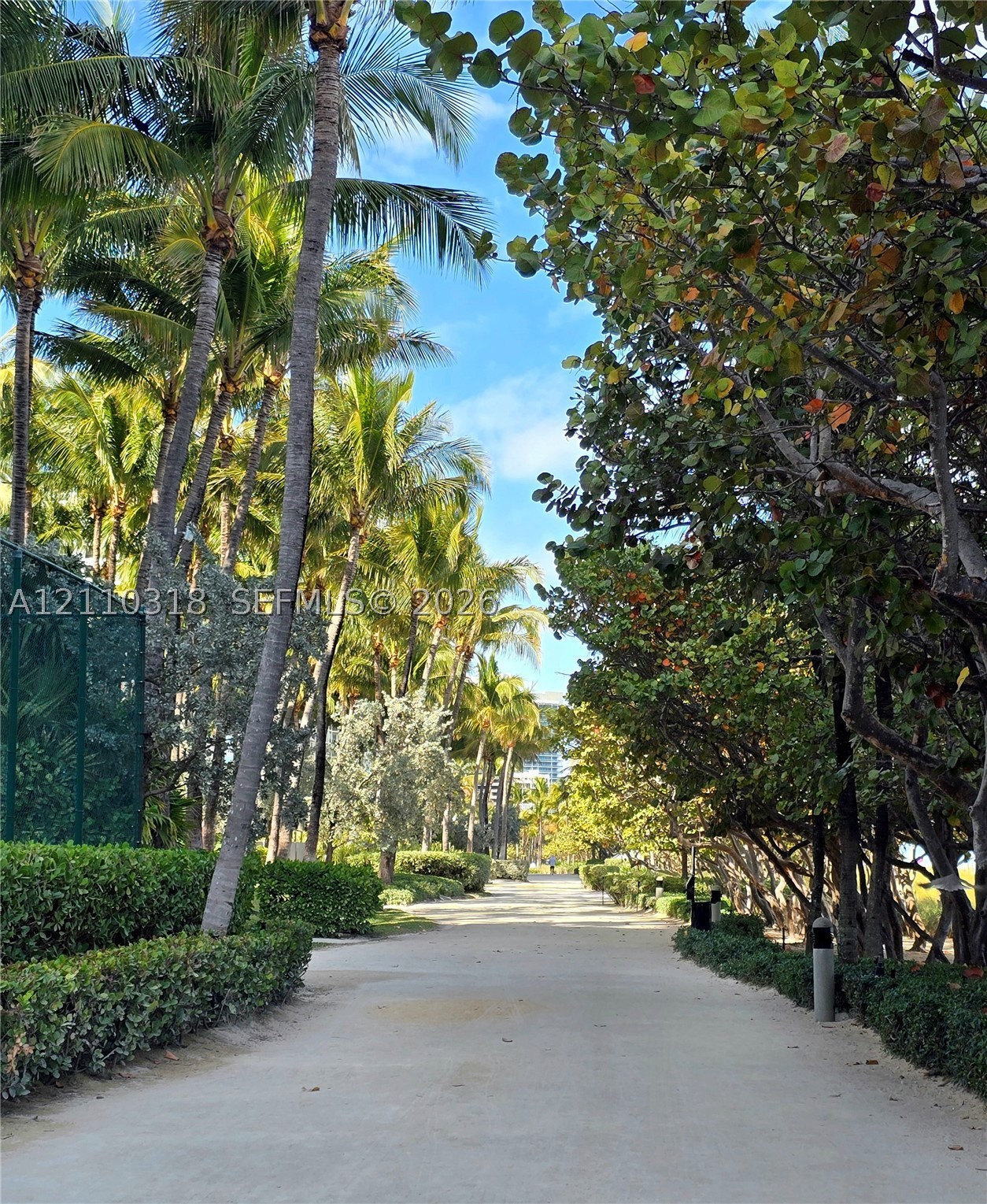 image Tiffany of Bal Harbour13