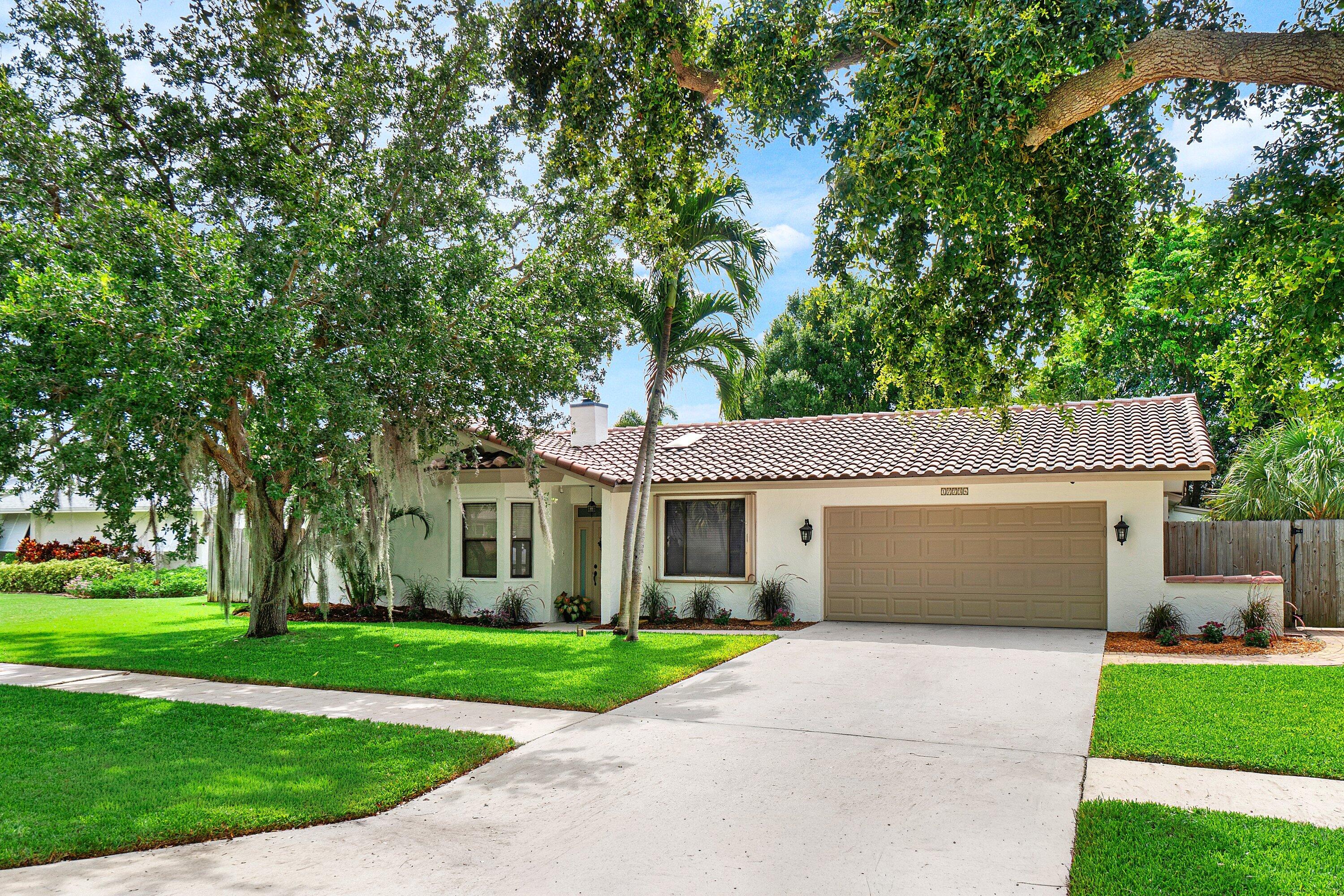 17734 Pine Needle