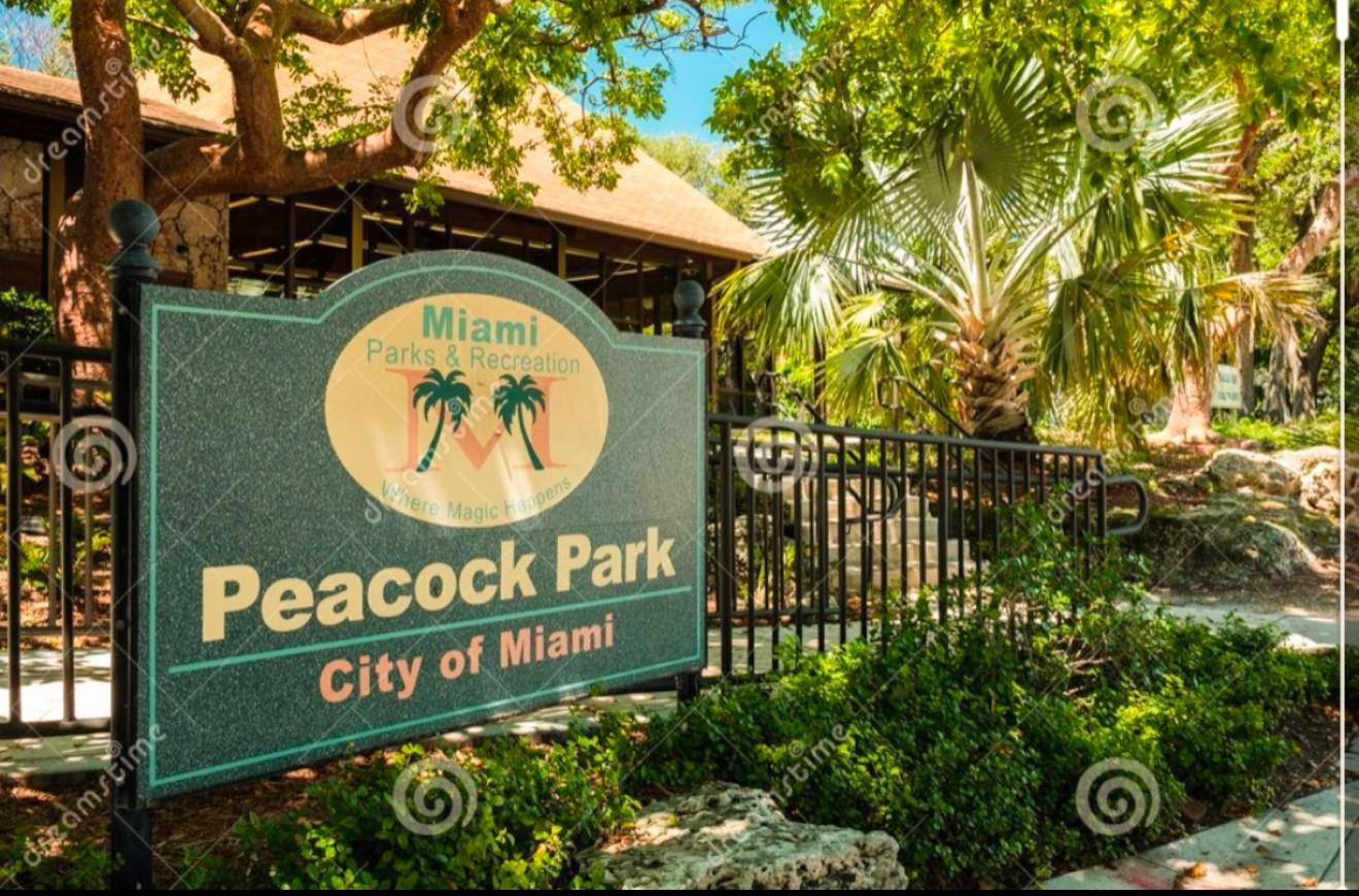 3037 S Elizabeth #3037 Miami, FL 33133