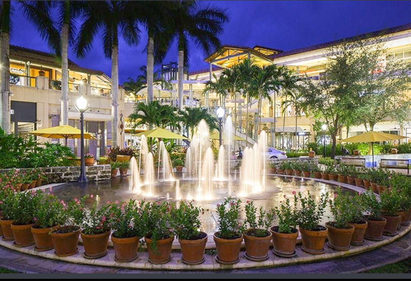 3037 S Elizabeth #3037 Miami, FL 33133