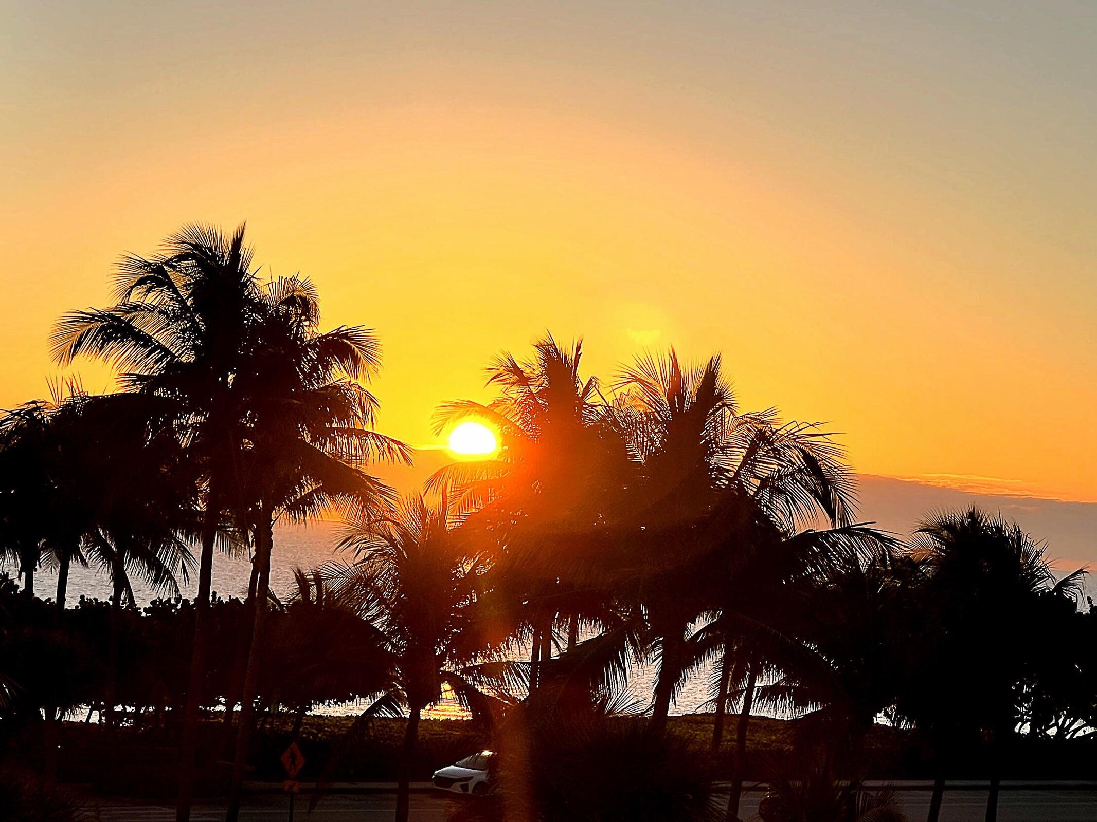 230 Ocean Grande #501 Jupiter, FL 33477