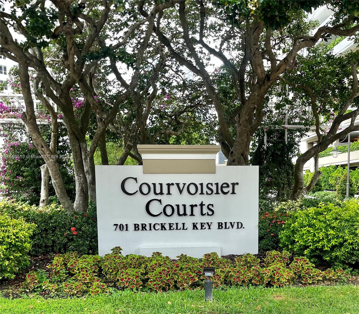 image Courvoisier Courts2