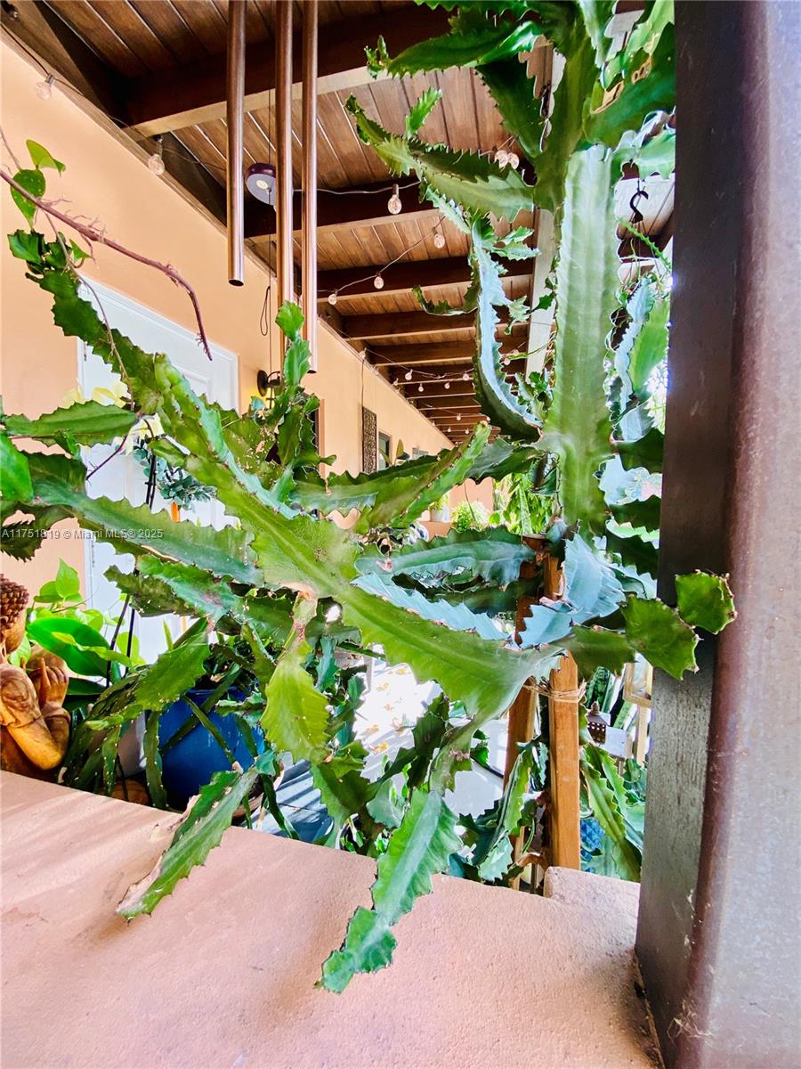 200 Azure Way Miami Springs, FL 33166