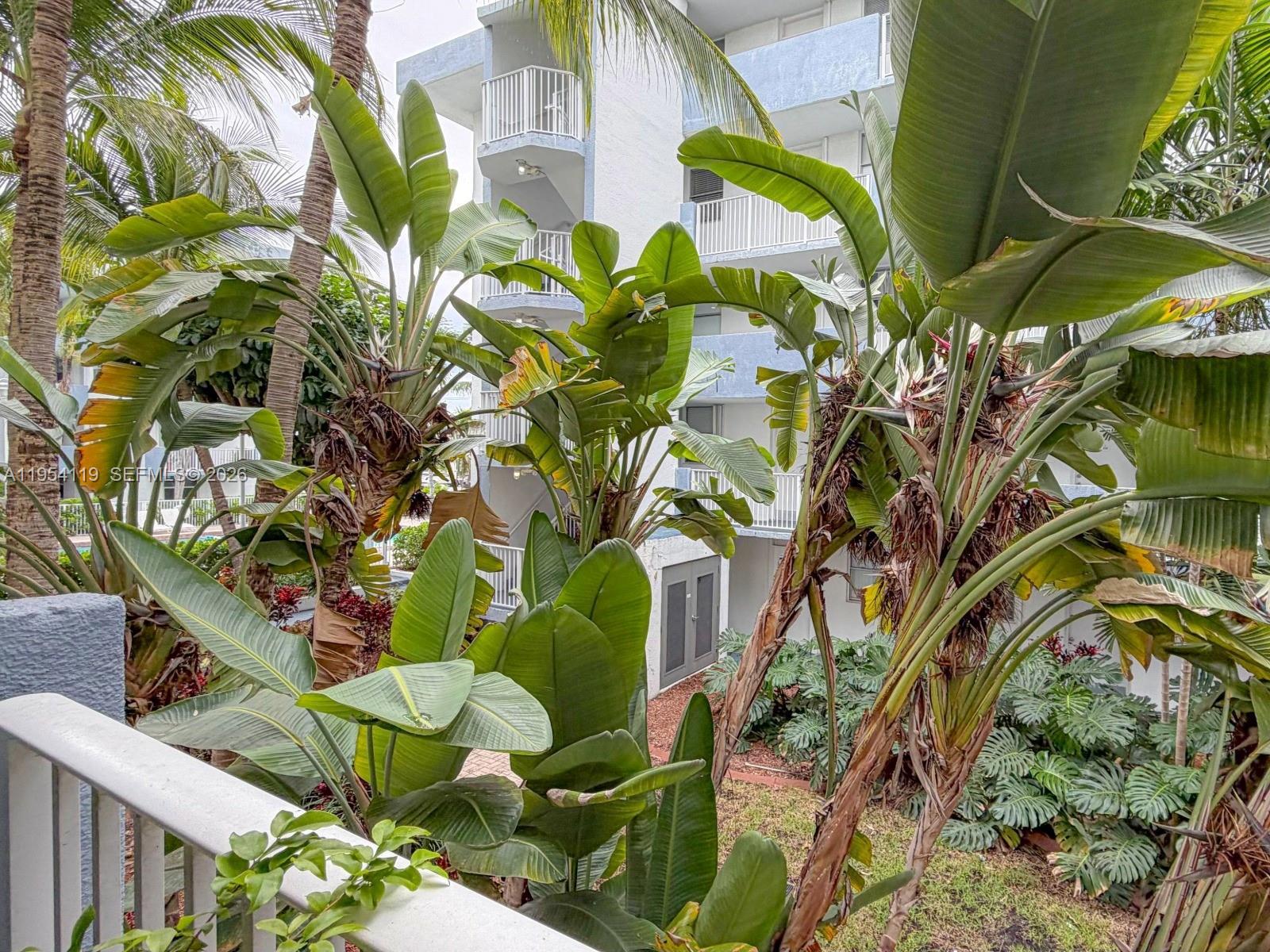 1801 S Treasure Dr #211 North Bay Village, FL 33141