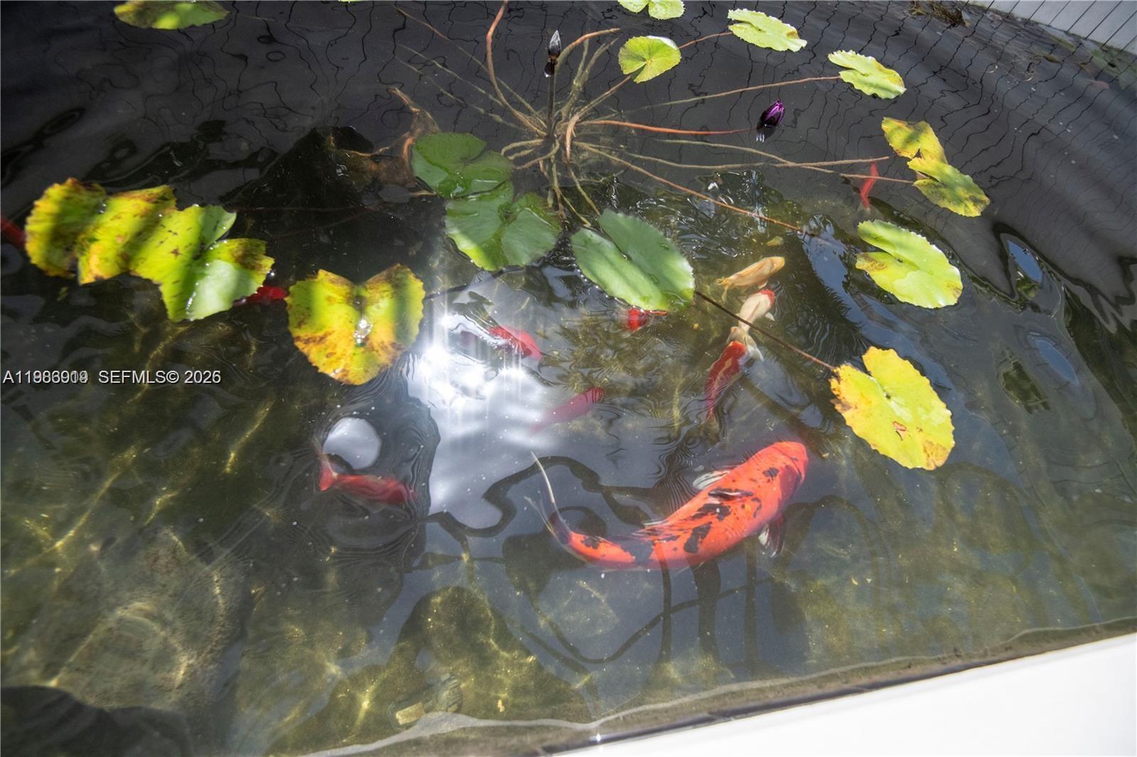 image The Waverly at South Beach14