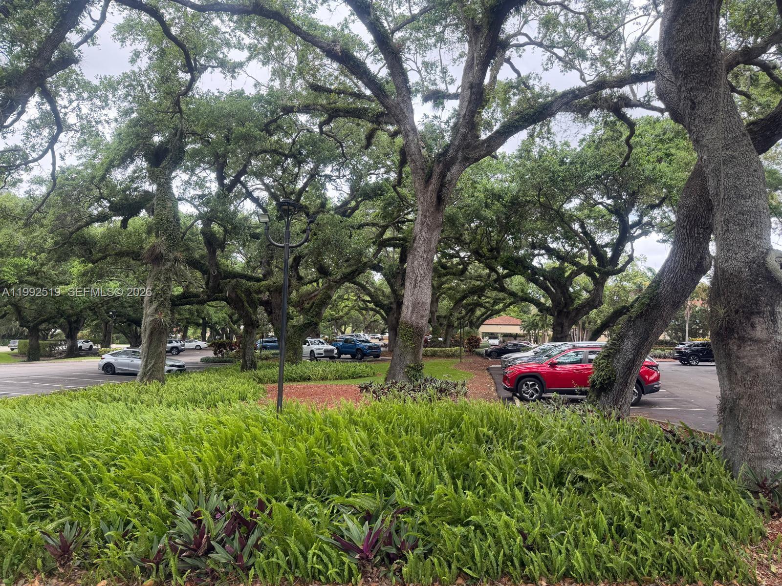 1709 Whitehall Dr #103 Davie, FL 33324