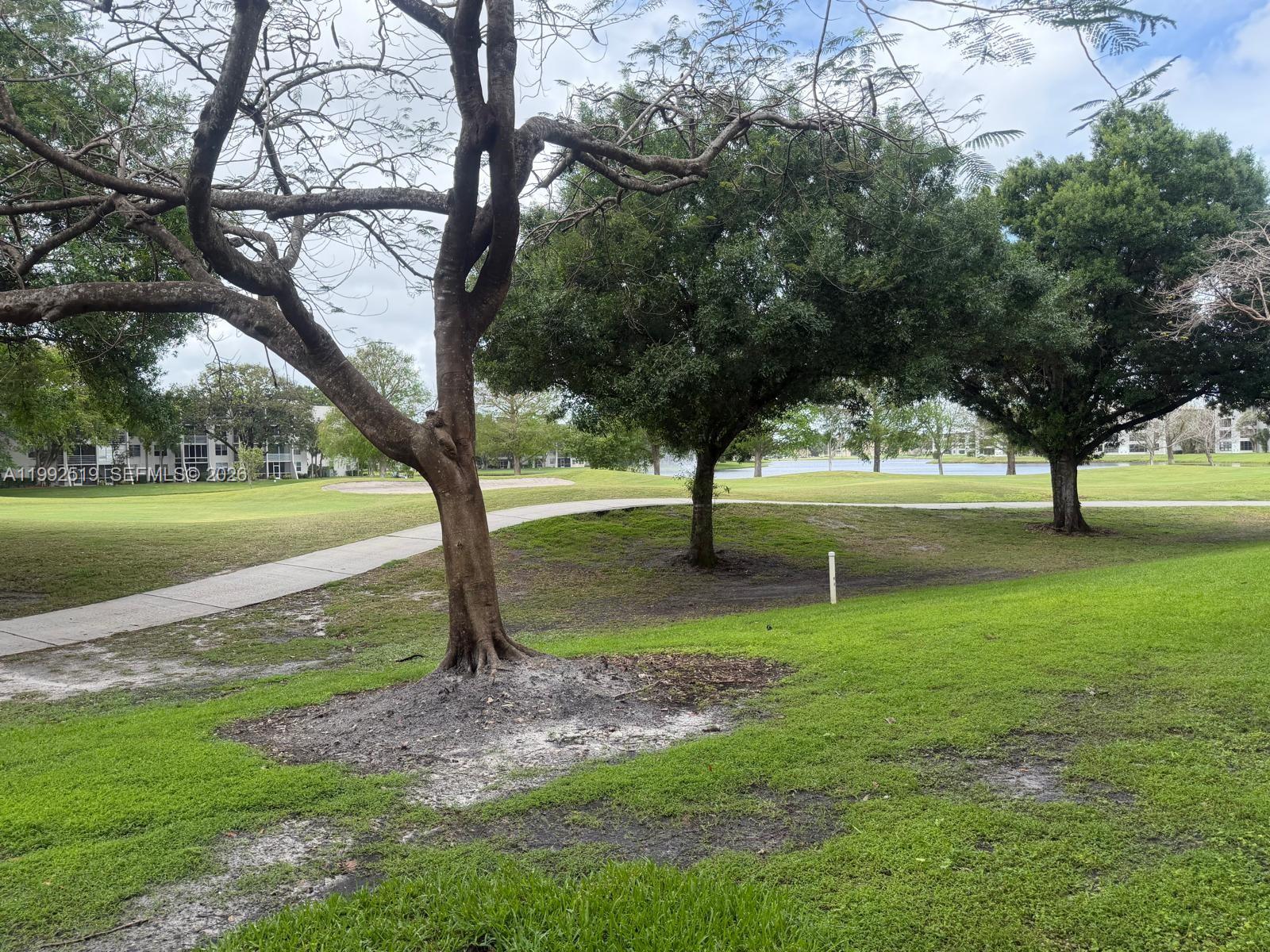 1709 Whitehall Dr #103 Davie, FL 33324