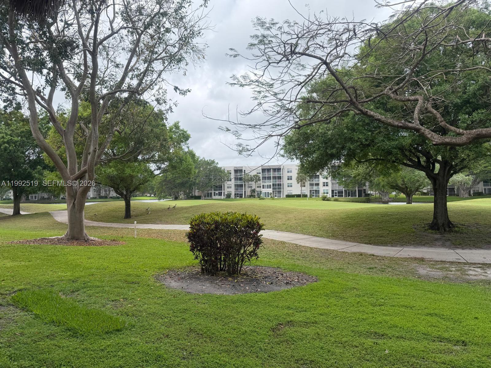 1709 Whitehall Dr #103 Davie, FL 33324