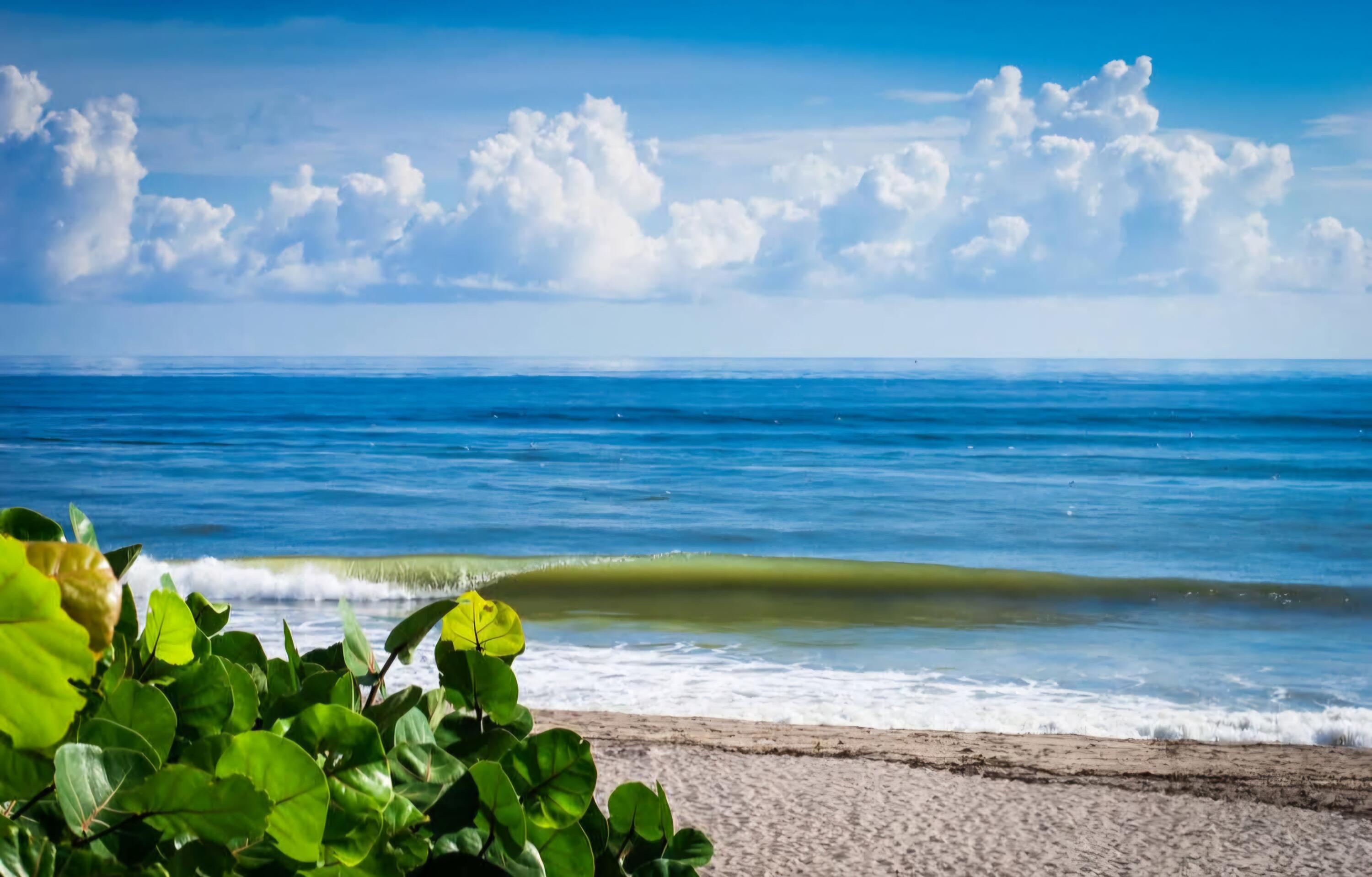 401 Ocean Blfs #104 Jupiter, FL 33477