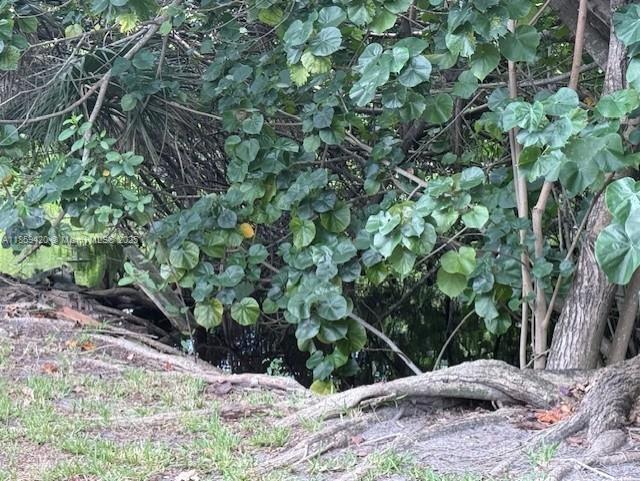 2601 NW 9th Ter Wilton Manors, FL 33311