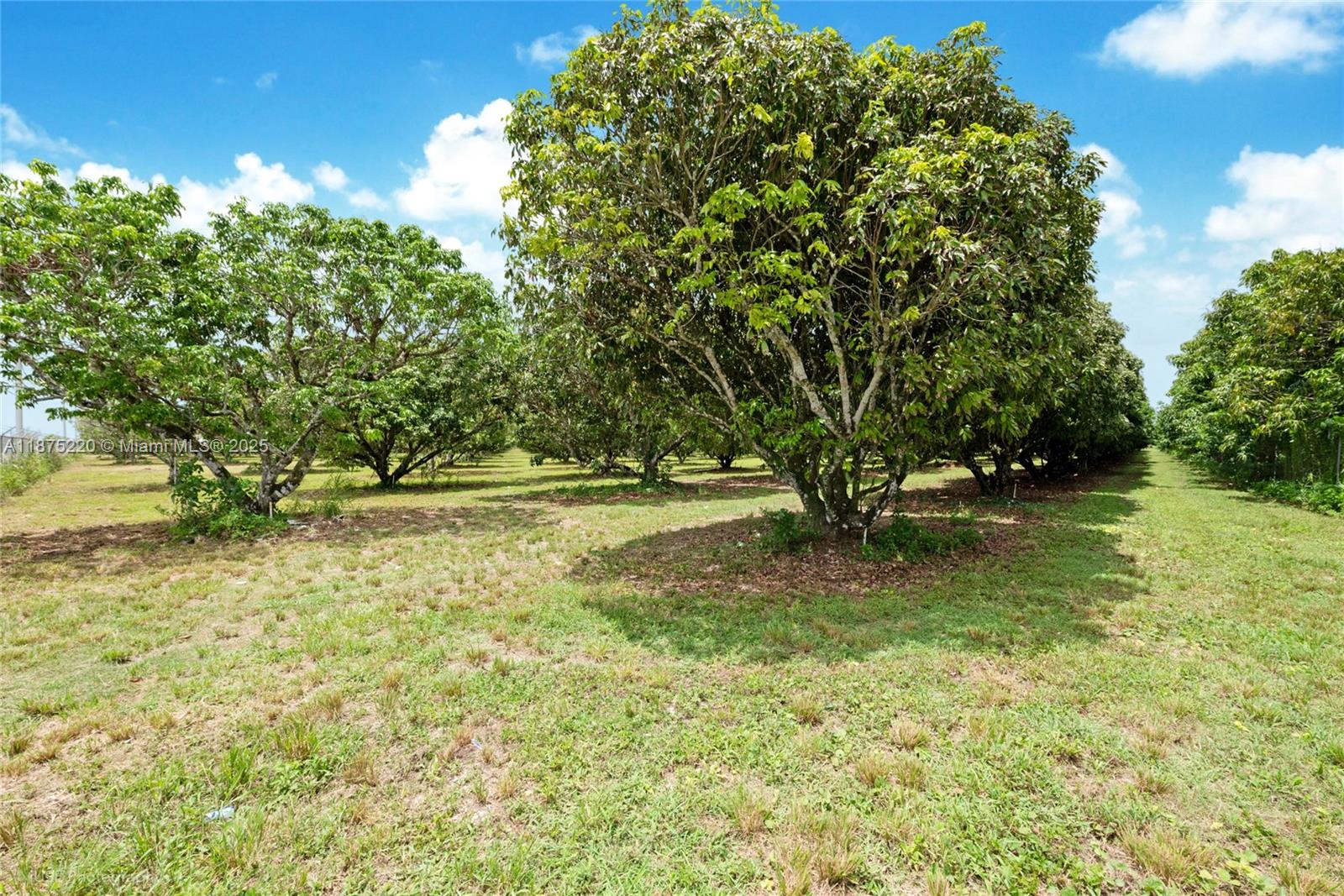 SW 206 Street Between 137th Ave & 139th Ave Miami, FL 33177