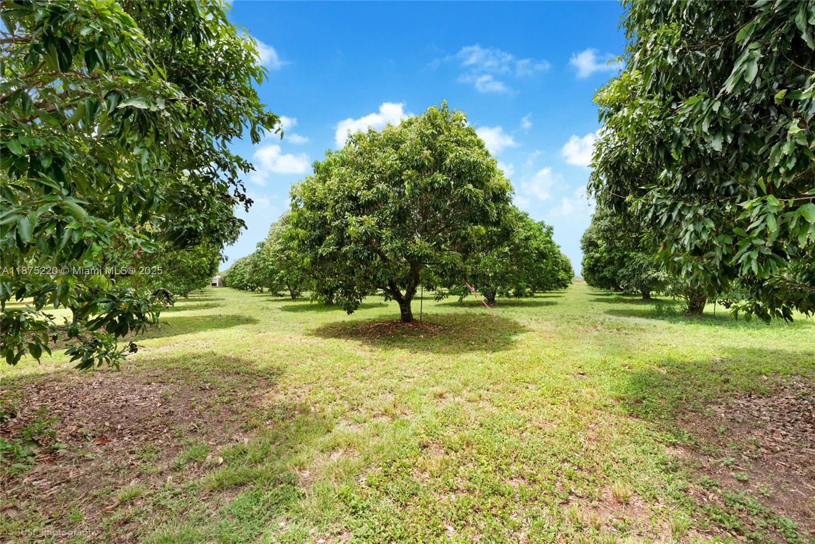 SW 206 Street Between 137th Ave & 139th Ave Miami, FL 33177