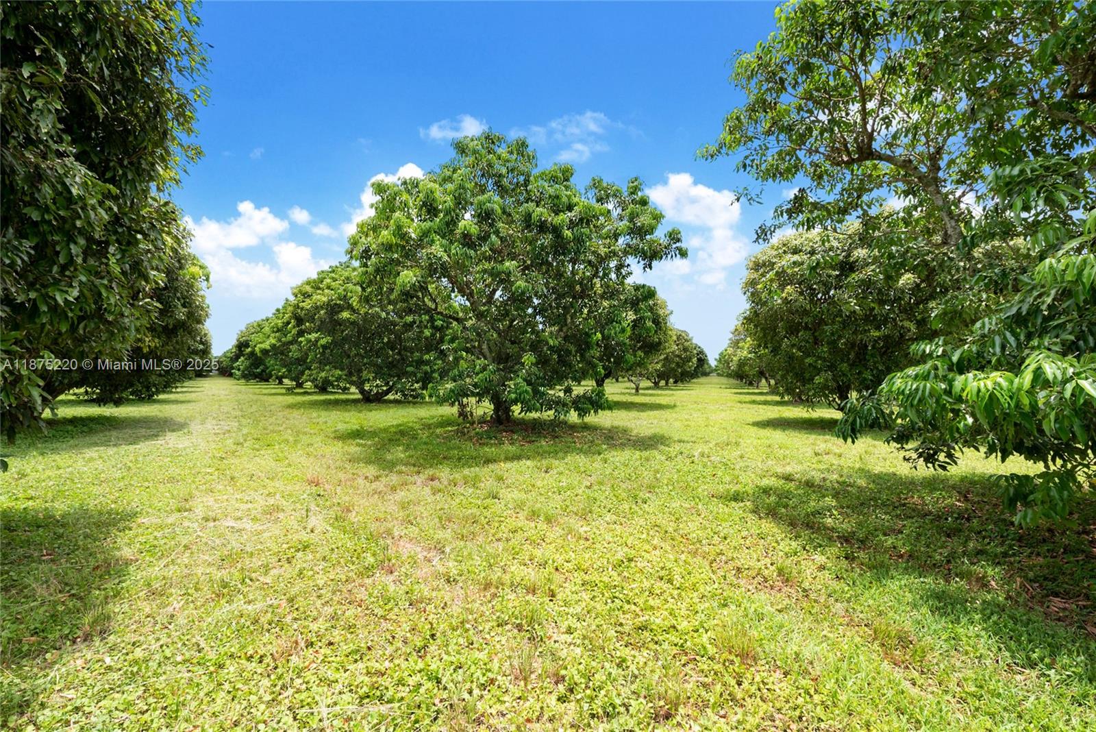 SW 206 Street Between 137th Ave & 139th Ave Miami, FL 33177