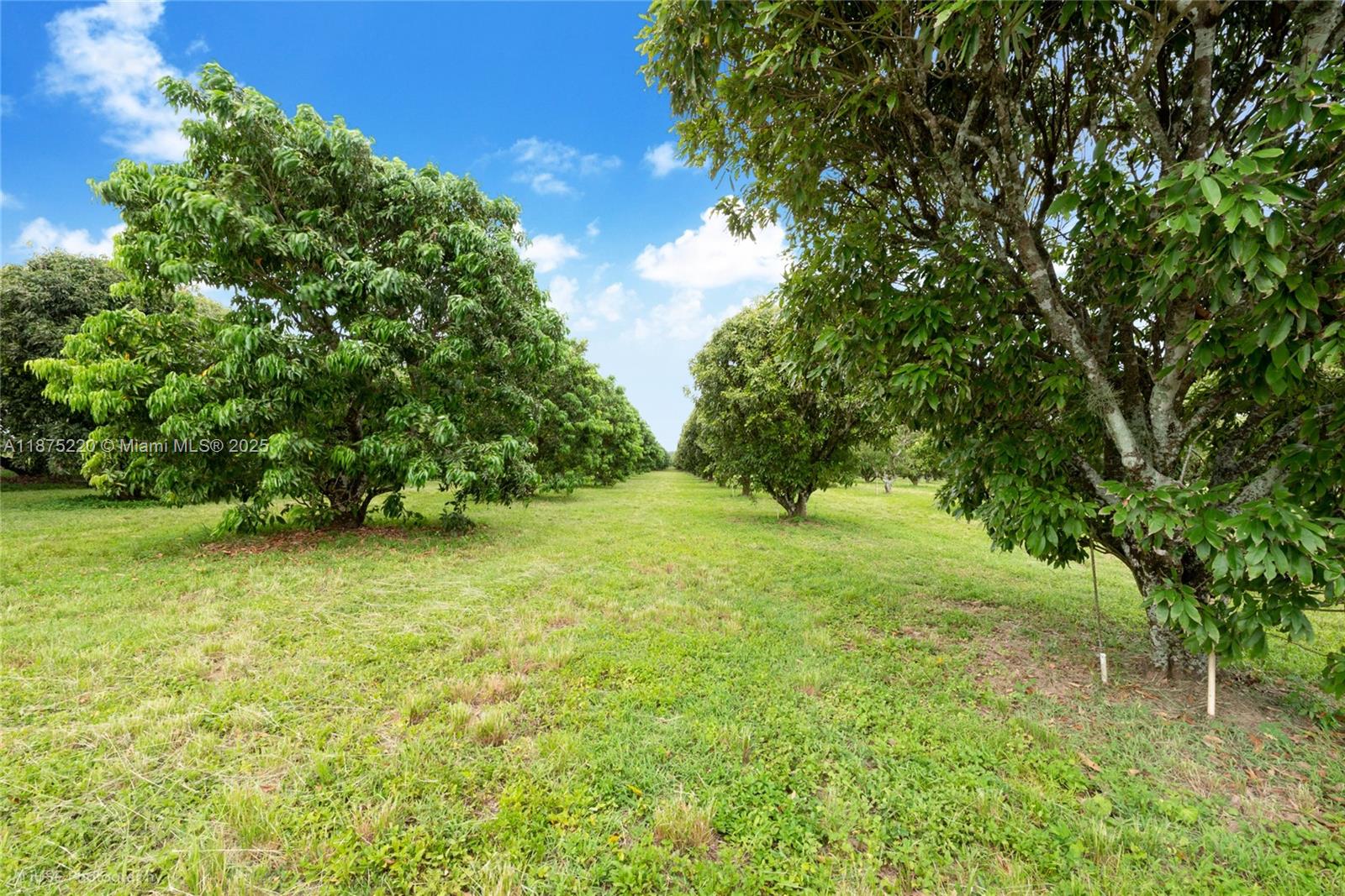 SW 206 Street Between 137th Ave & 139th Ave Miami, FL 33177