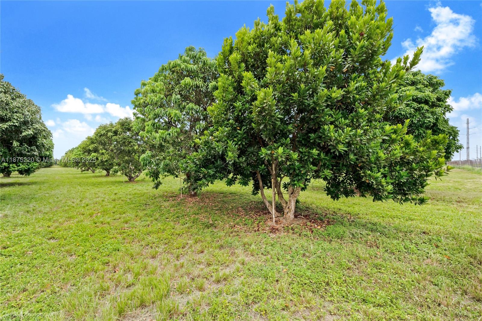 SW 206 Street Between 137th Ave & 139th Ave Miami, FL 33177