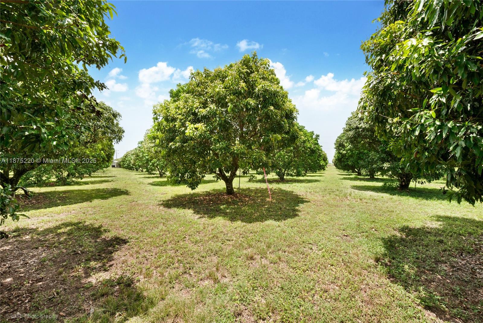 SW 206 Street Between 137th Ave & 139th Ave Miami, FL 33177