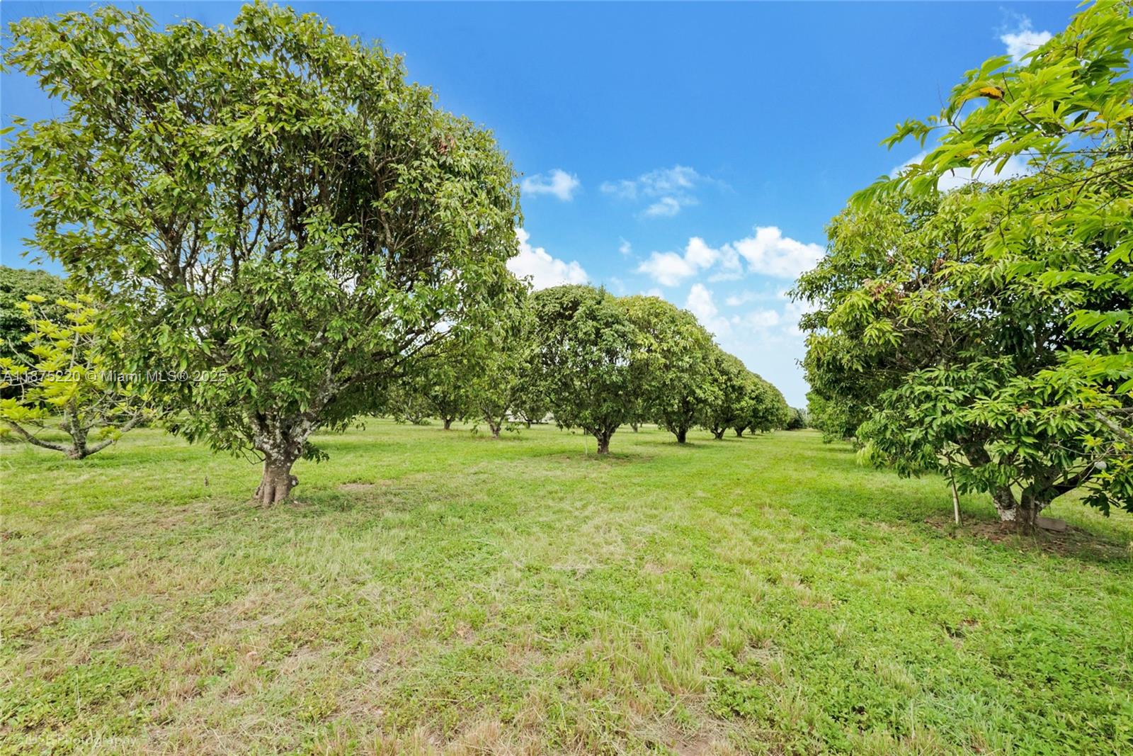 SW 206 Street Between 137th Ave & 139th Ave Miami, FL 33177