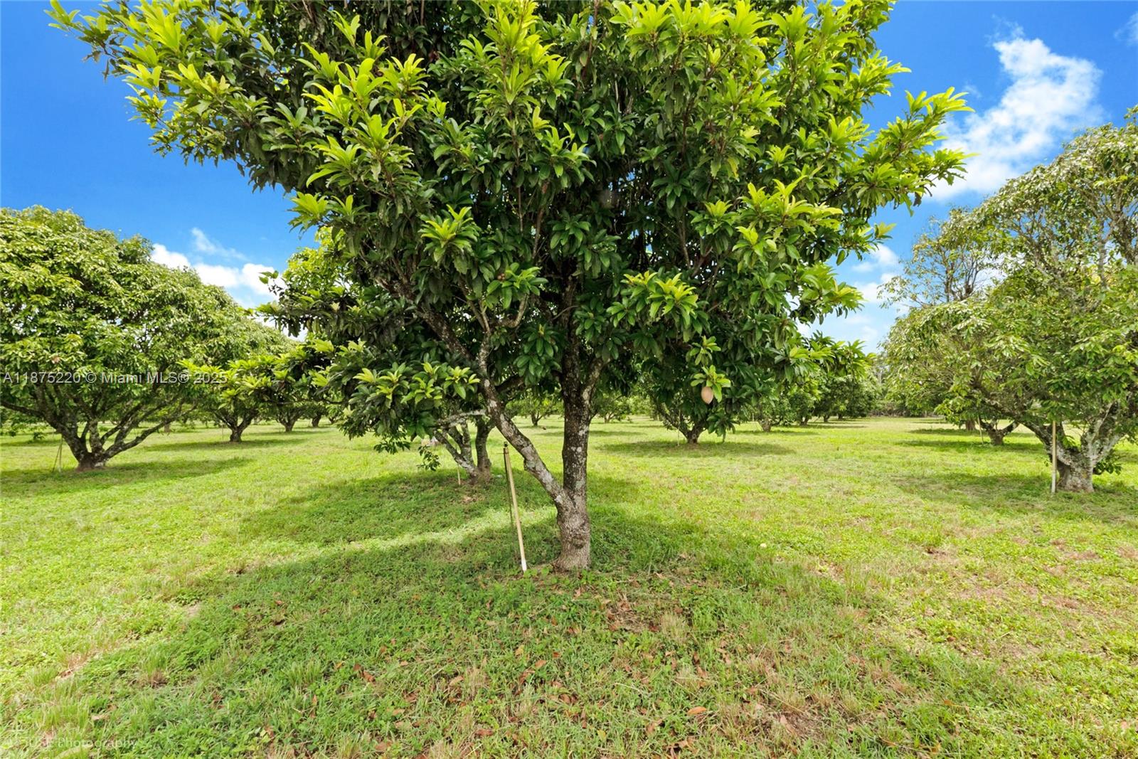 SW 206 Street Between 137th Ave & 139th Ave Miami, FL 33177