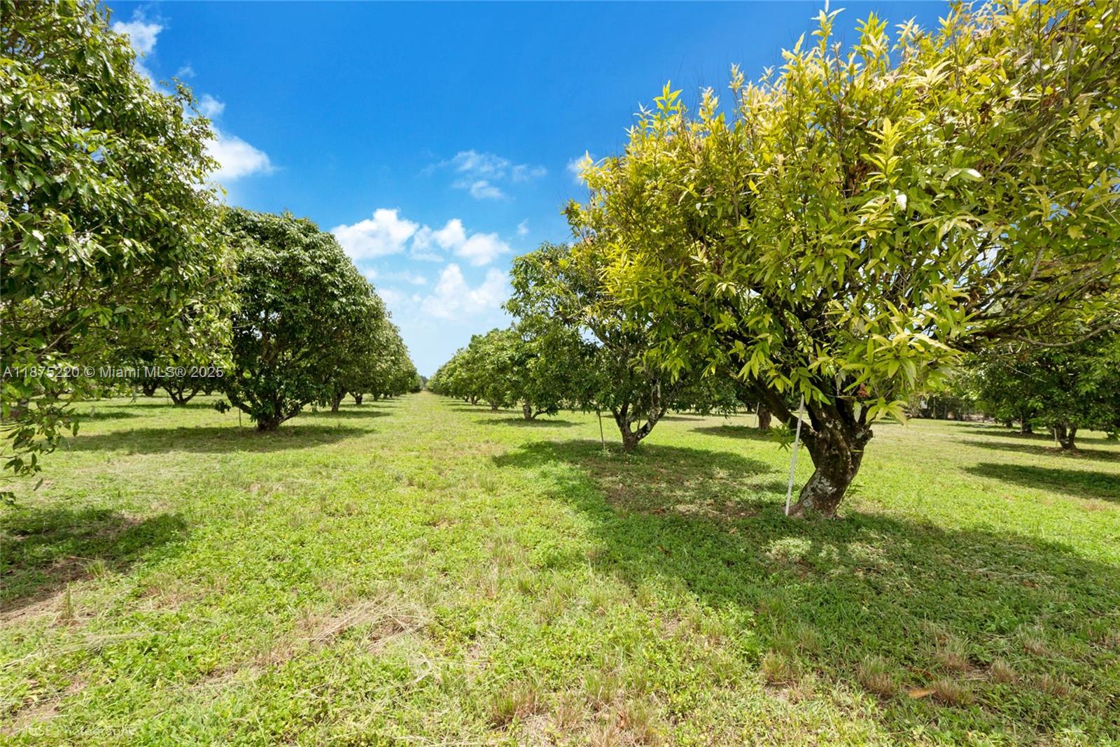 SW 206 Street Between 137th Ave & 139th Ave Miami, FL 33177