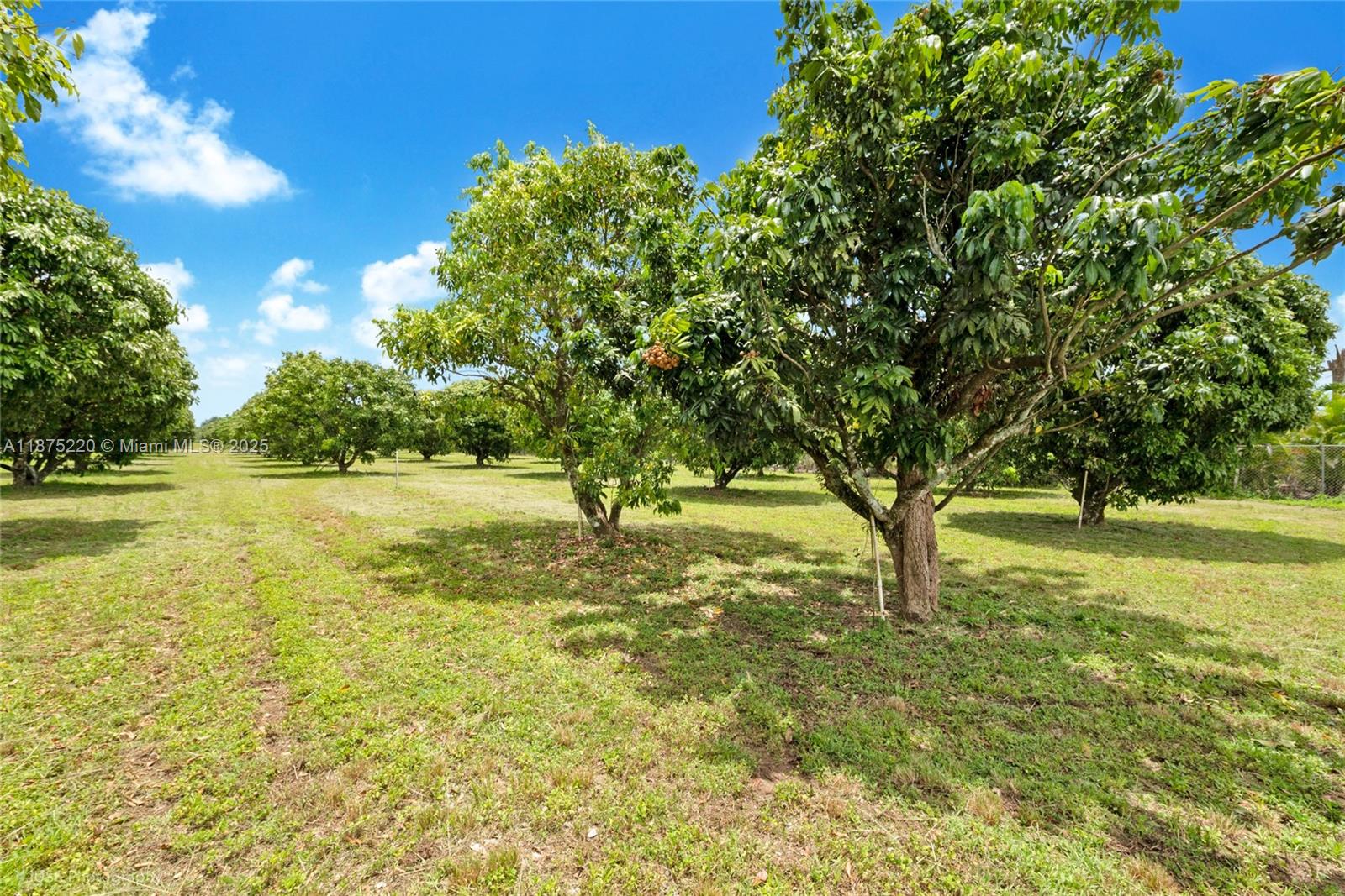 SW 206 Street Between 137th Ave & 139th Ave Miami, FL 33177