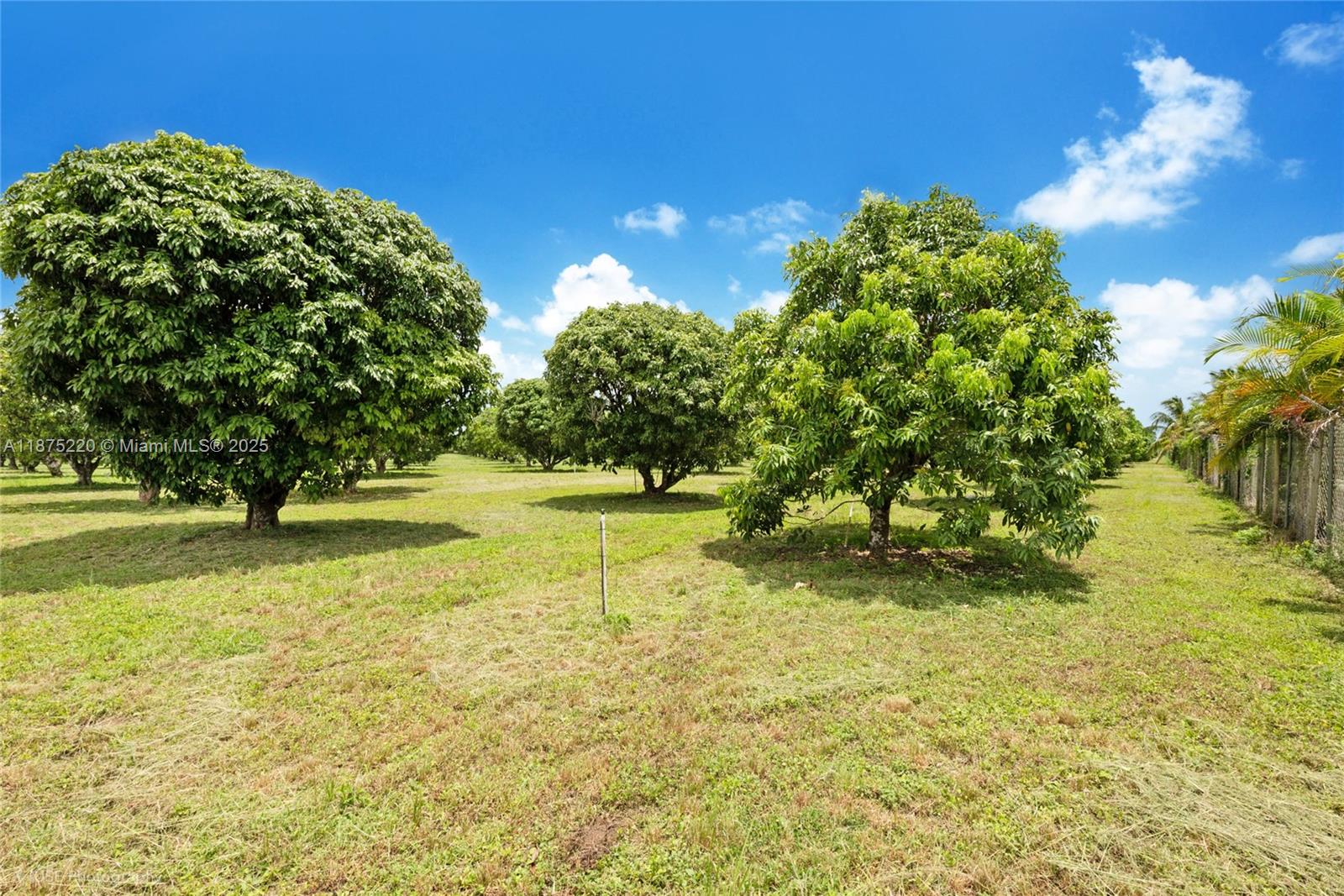 SW 206 Street Between 137th Ave & 139th Ave Miami, FL 33177