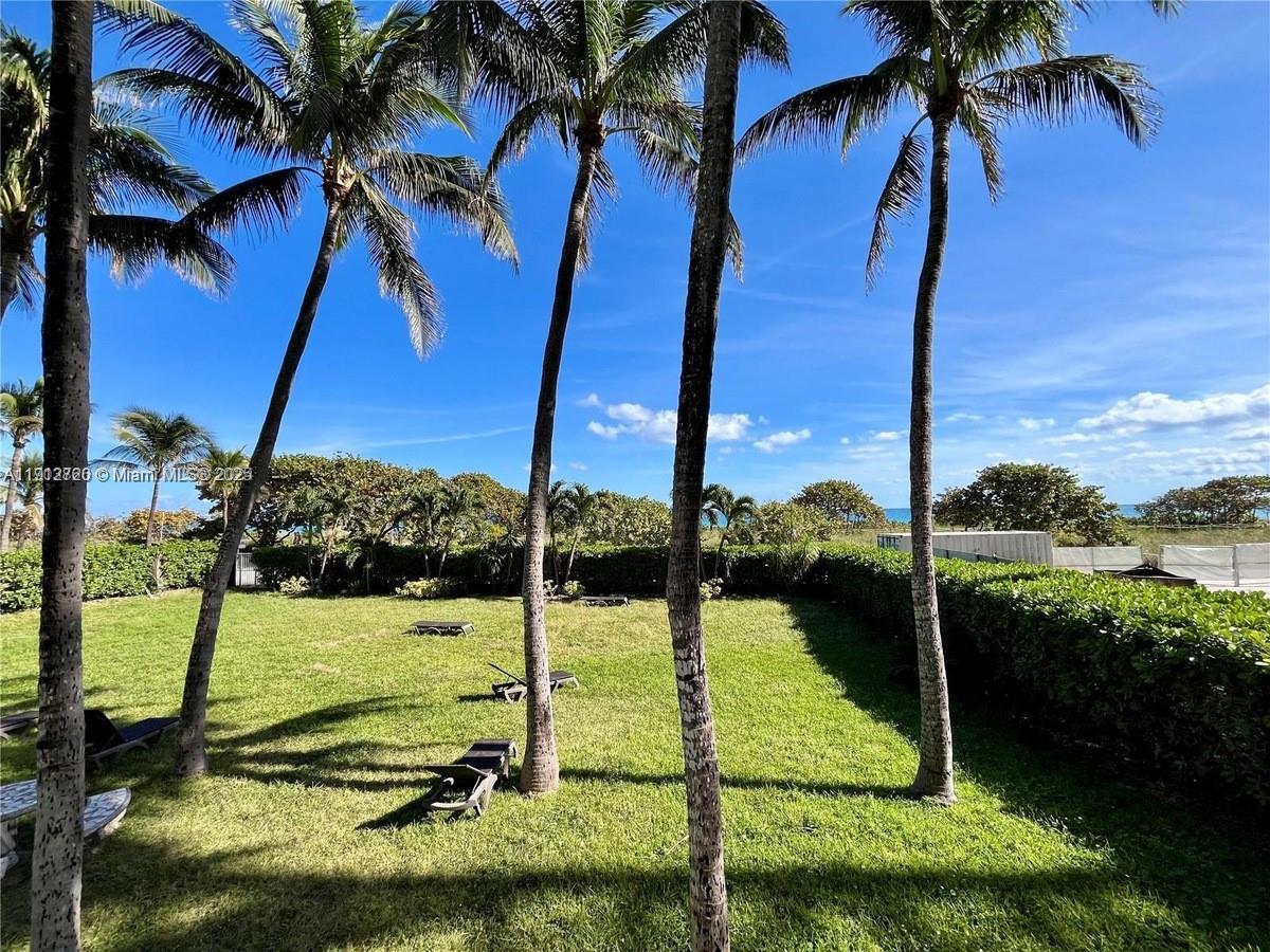 image Carlisle On The Ocean19