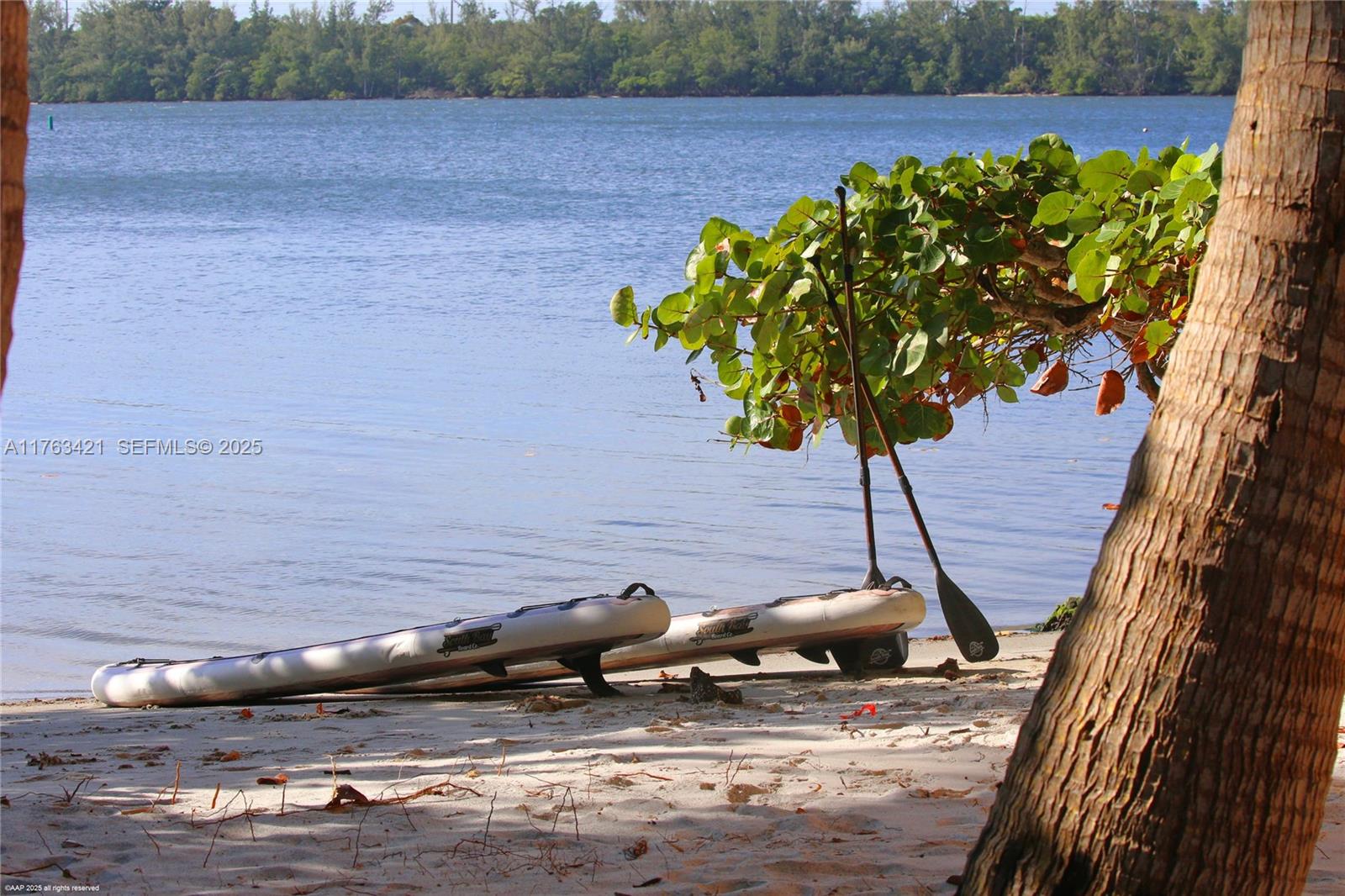 6 Riverview Rd Jupiter Island, FL 33455