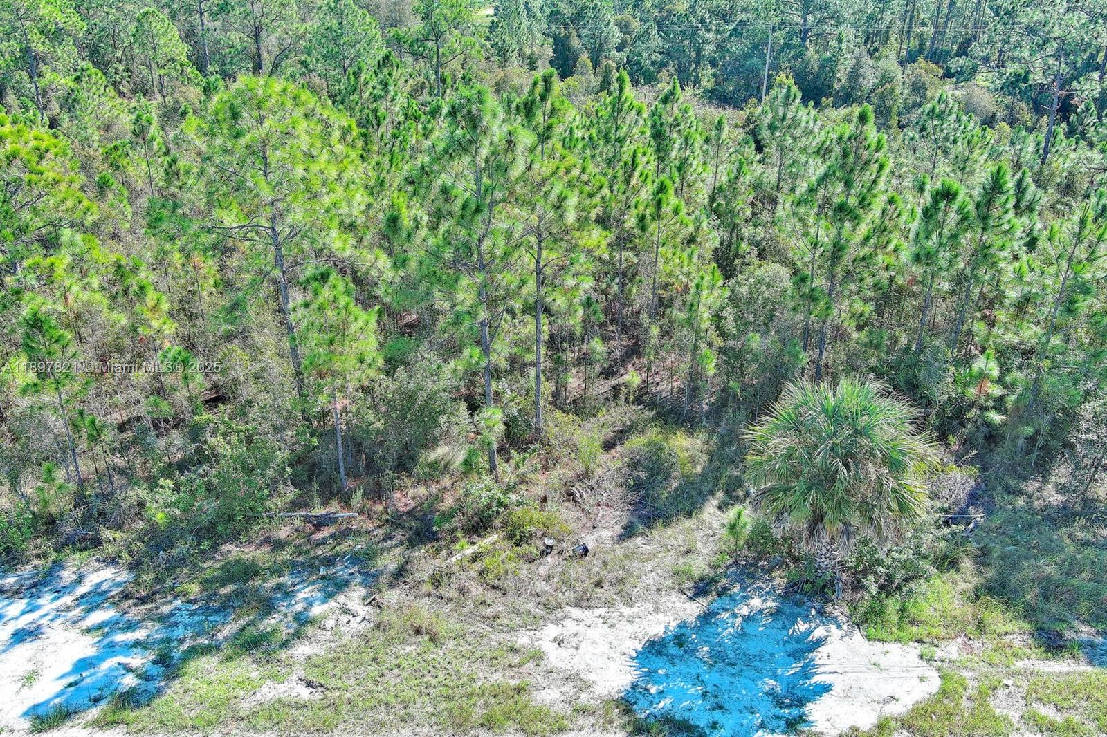 839 Kaley Ave S Lehigh Acres, FL 33974