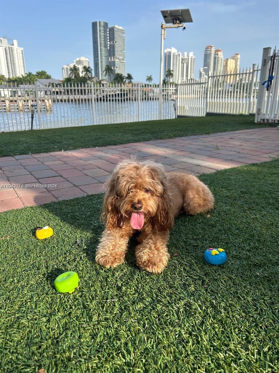 3600 Mystic Pointe Dr #309 Aventura, FL 33180